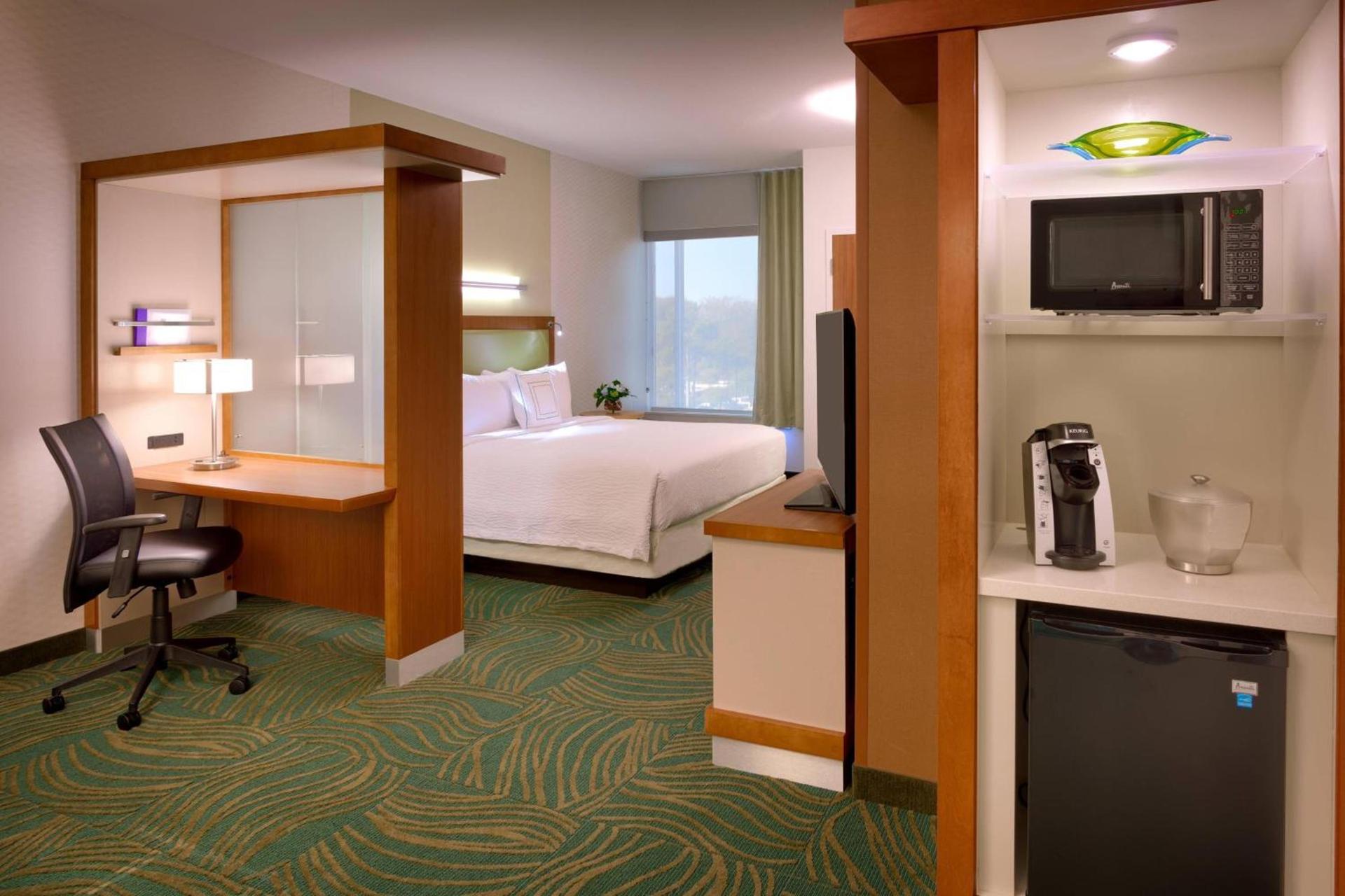 SpringHill Suites by Marriott Houston I-45 North photo 4