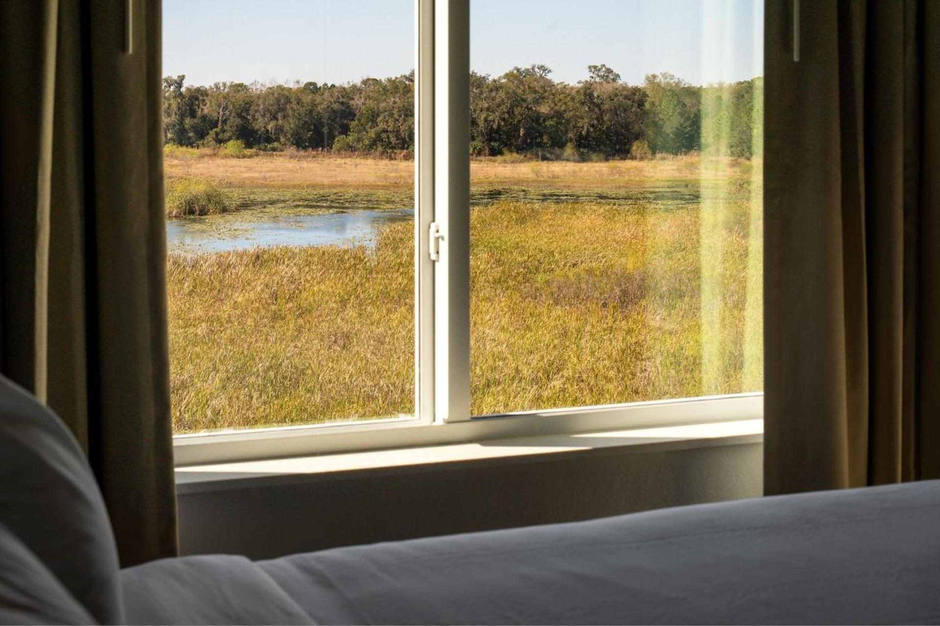 Residence Inn by Marriott Tampa Wesley Chapel photo 12