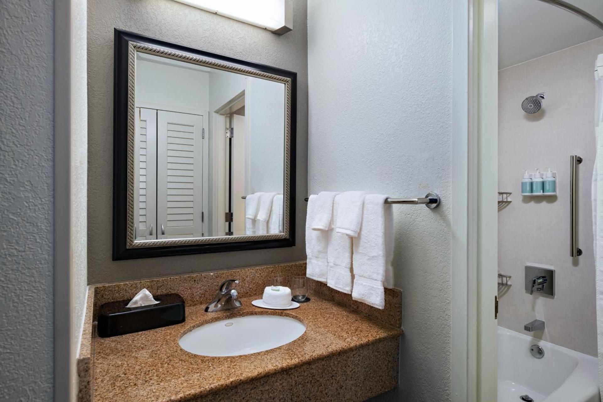 Courtyard by Marriott Dallas Arlington Entertainment District photo 9