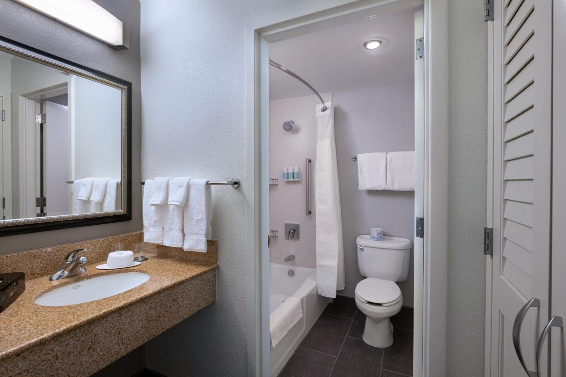 Courtyard by Marriott Dallas Arlington Entertainment District photo 8