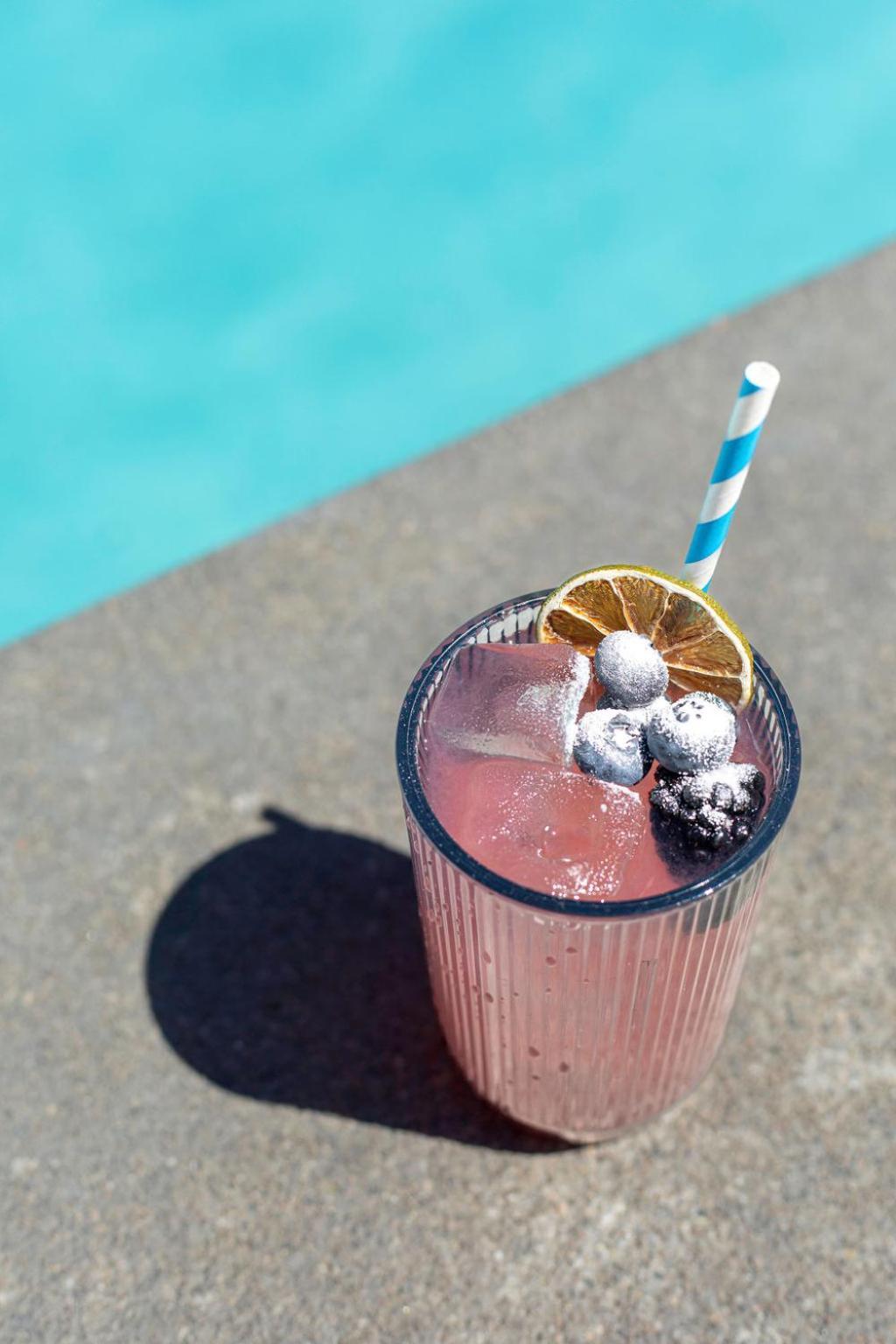 The Skylark, a Palm Springs Hotel photo 35