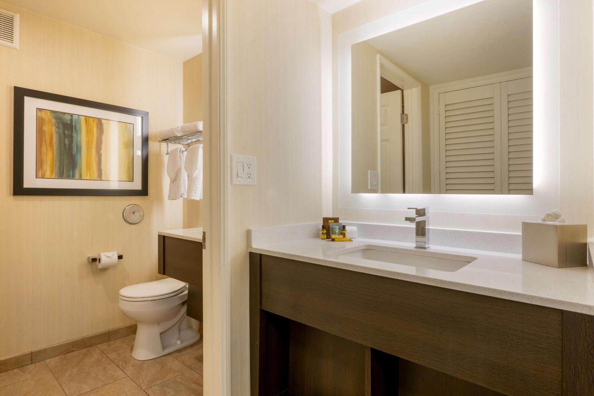Best Western Plus Carriage Inn photo 34