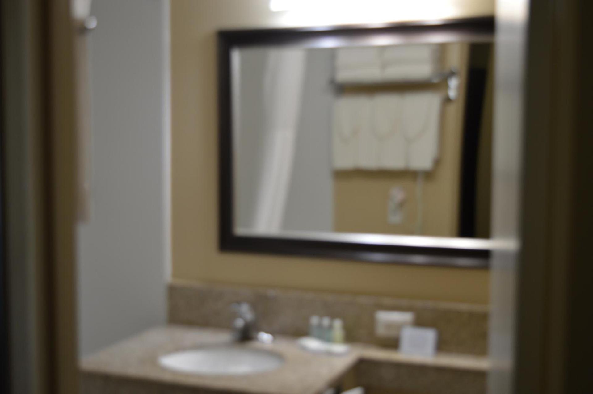 Quality Inn O'Hare Airport photo 30