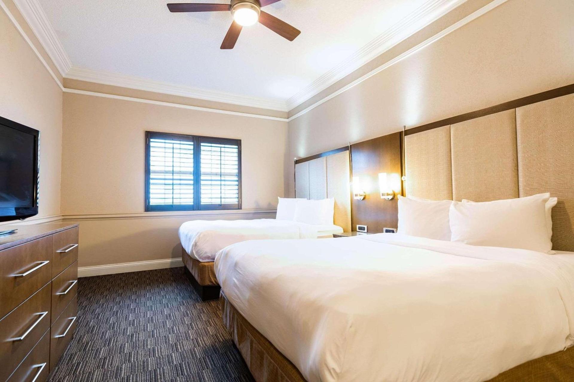 Radisson Resort at the Port photo 9
