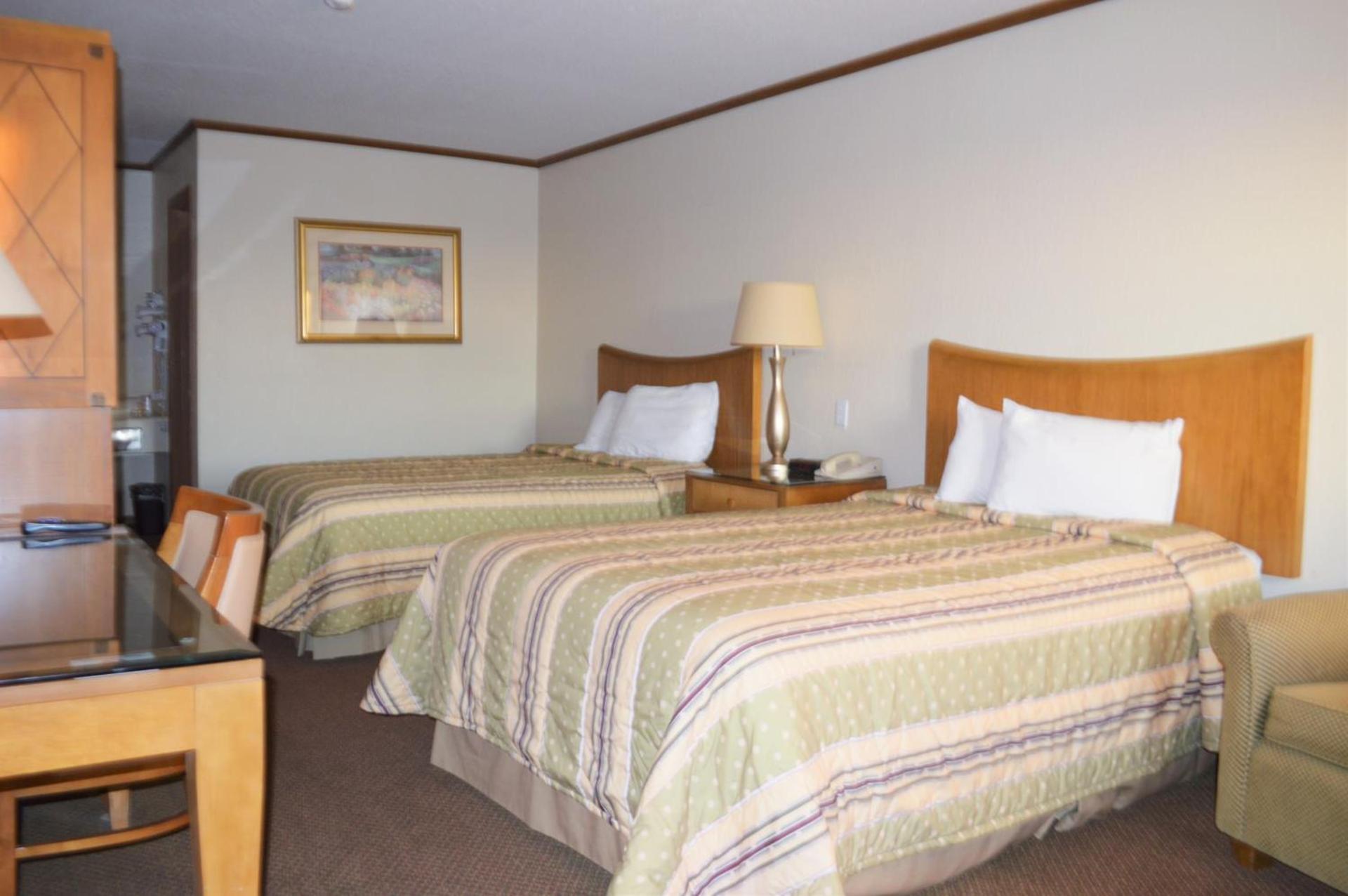 Night Inn photo 55