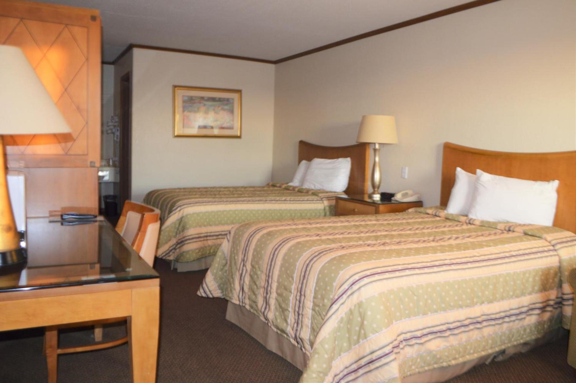 Night Inn photo 54