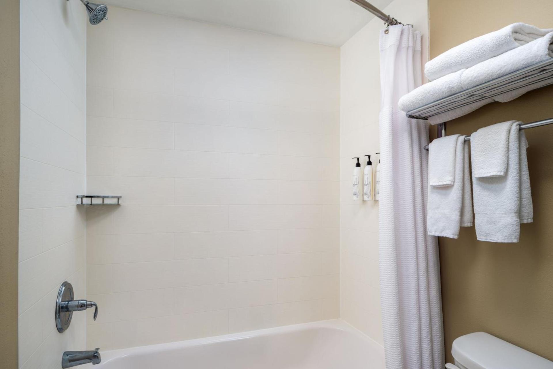 SpringHill Suites Sarasota Bradenton photo 30