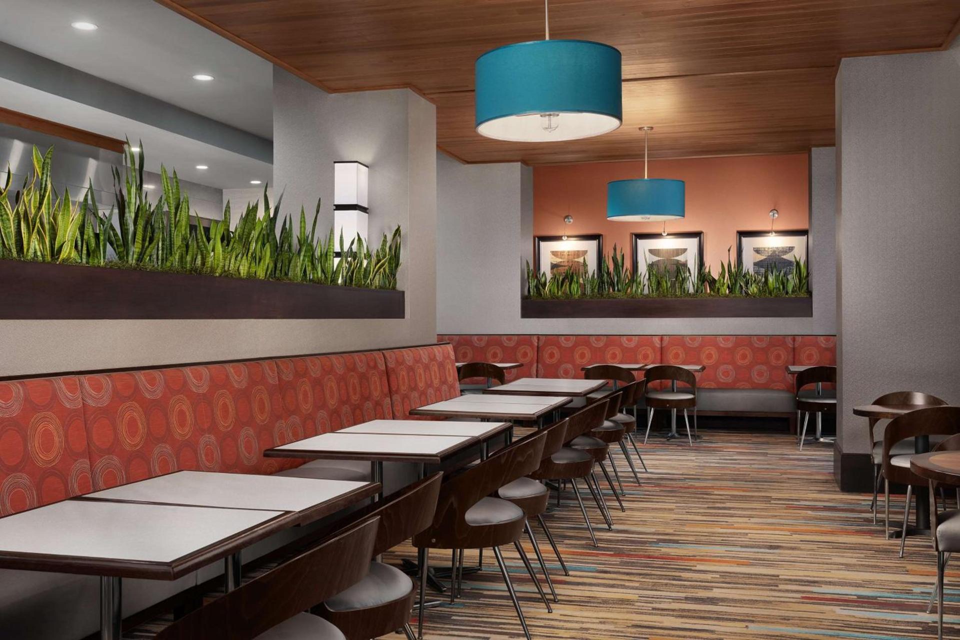 Embassy Suites by Hilton Knoxville West photo 11