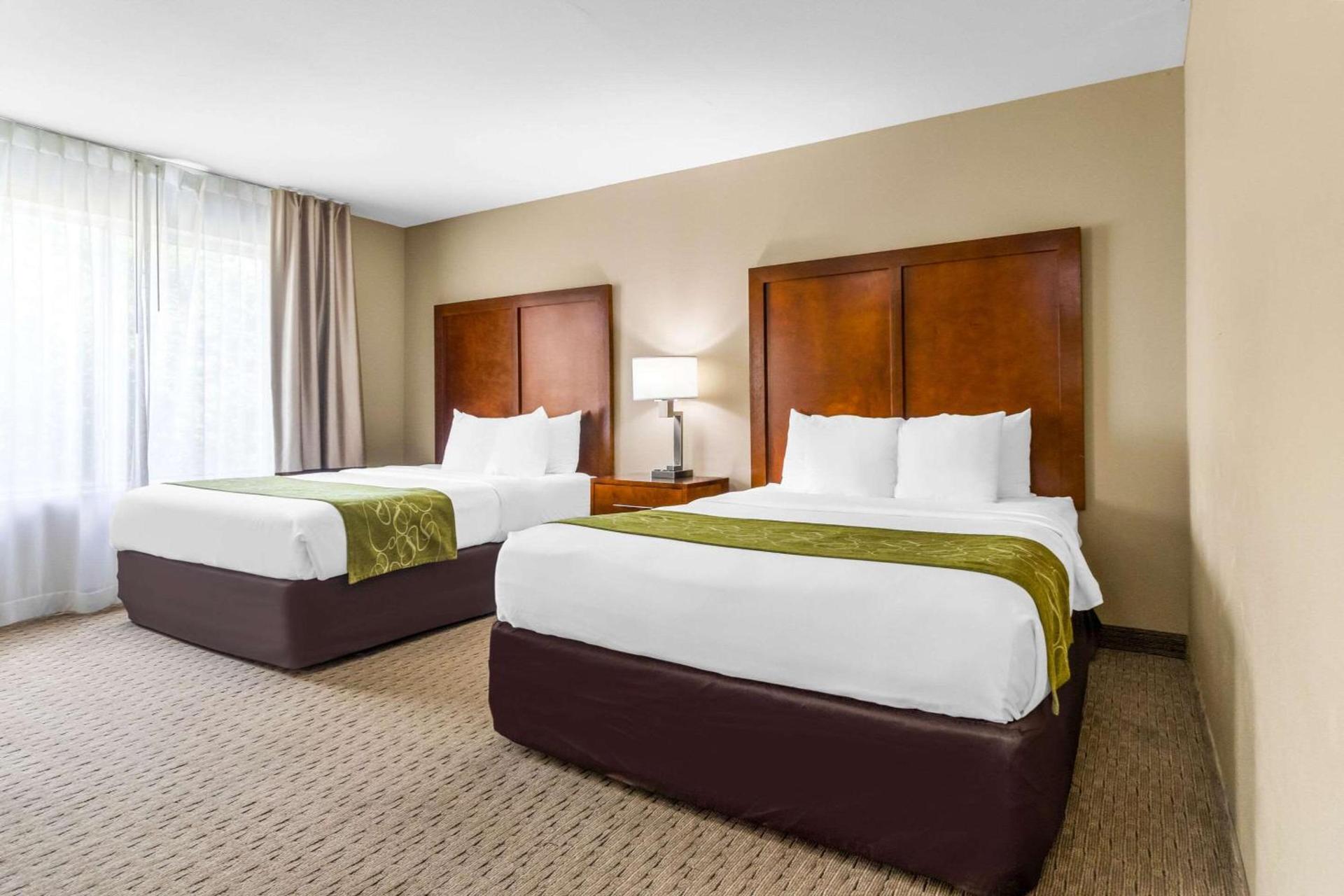 Comfort Suites photo 19
