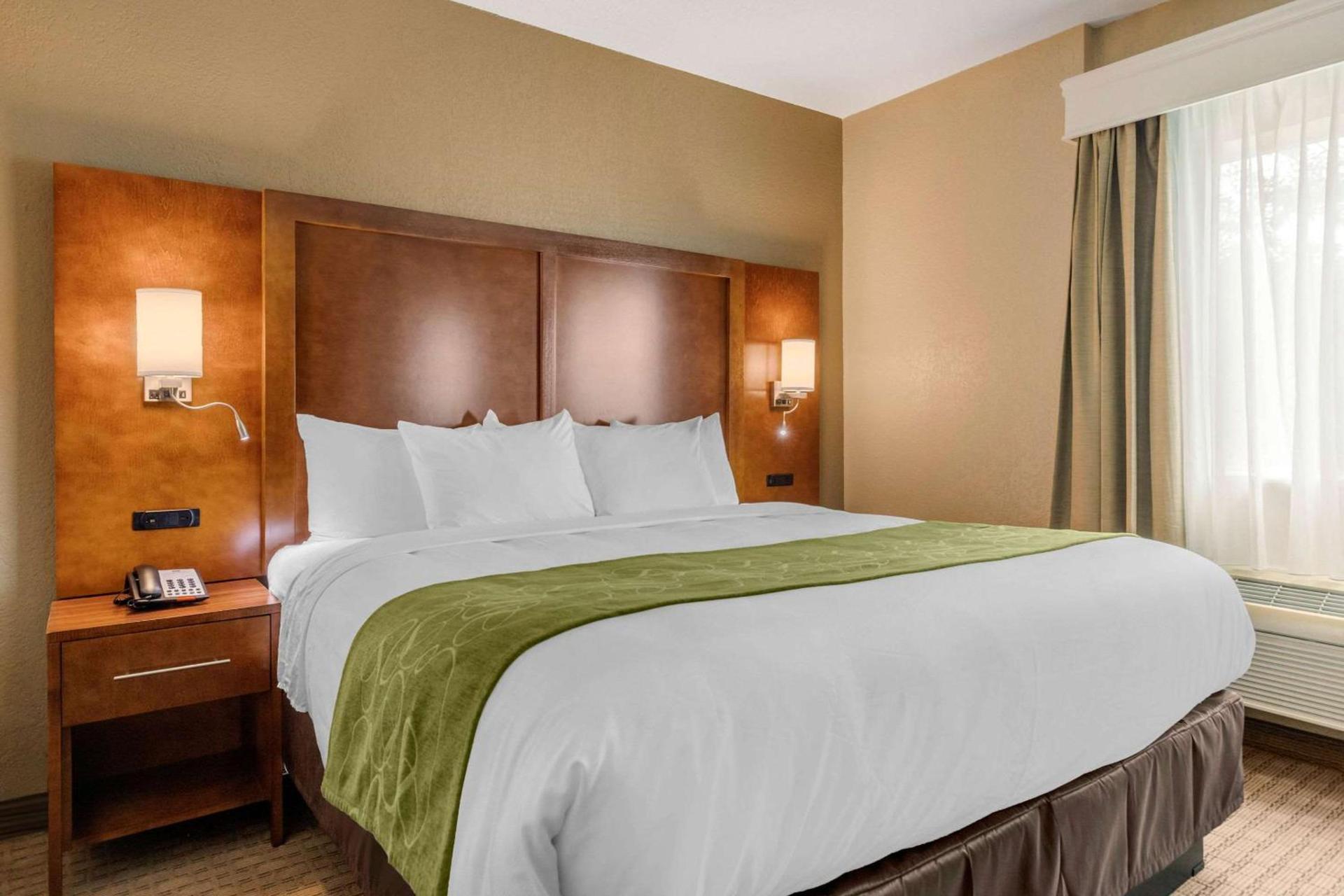 Comfort Suites San Antonio Airport North photo 13