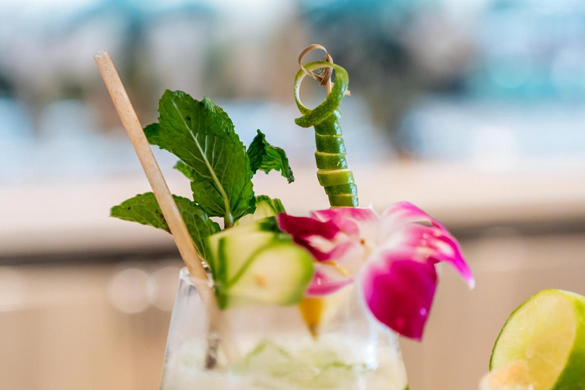Tideline Palm Beach Ocean Resort and Spa photo 95
