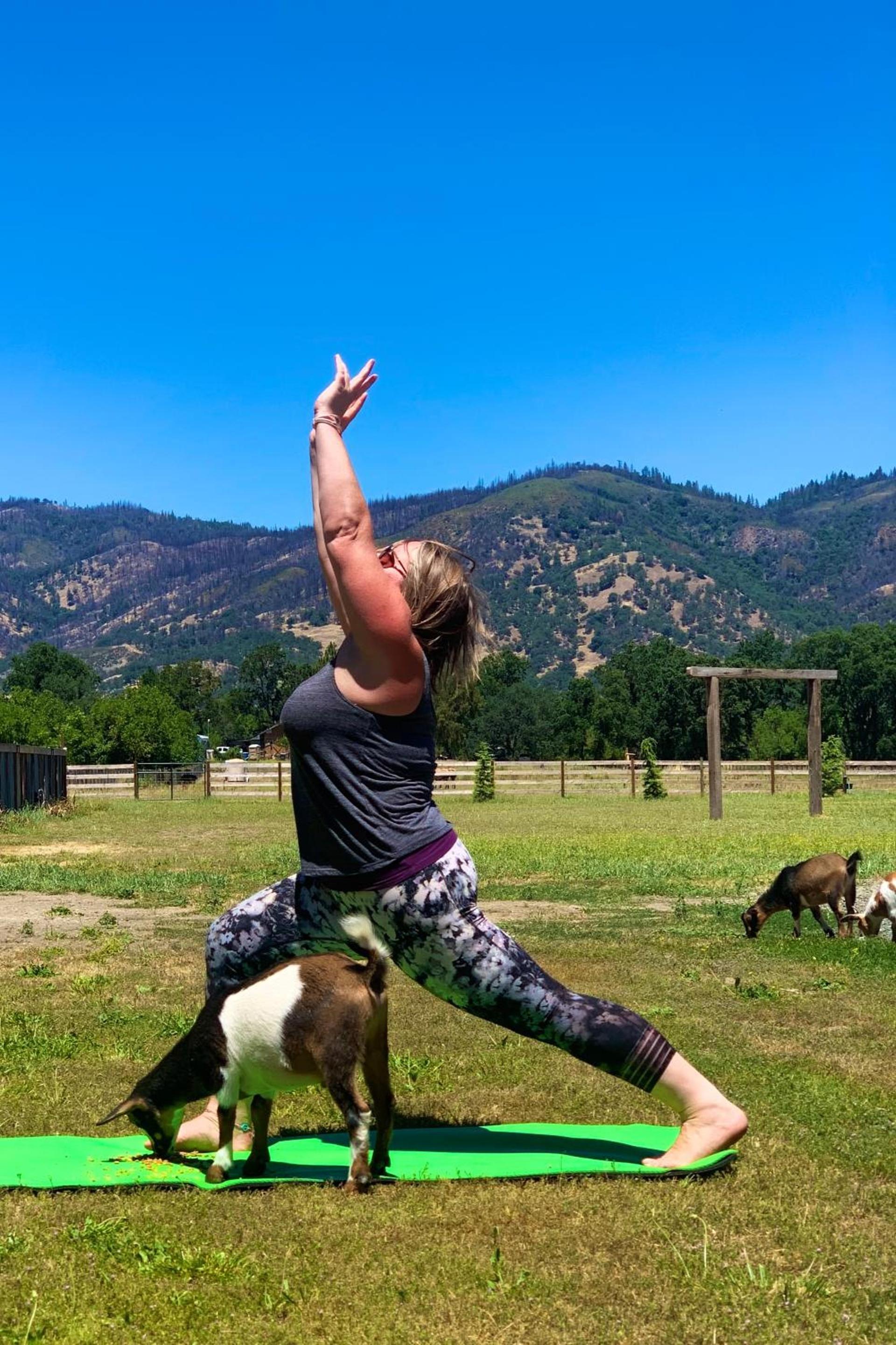 Soul Whispering Ranch Retreat photo 40
