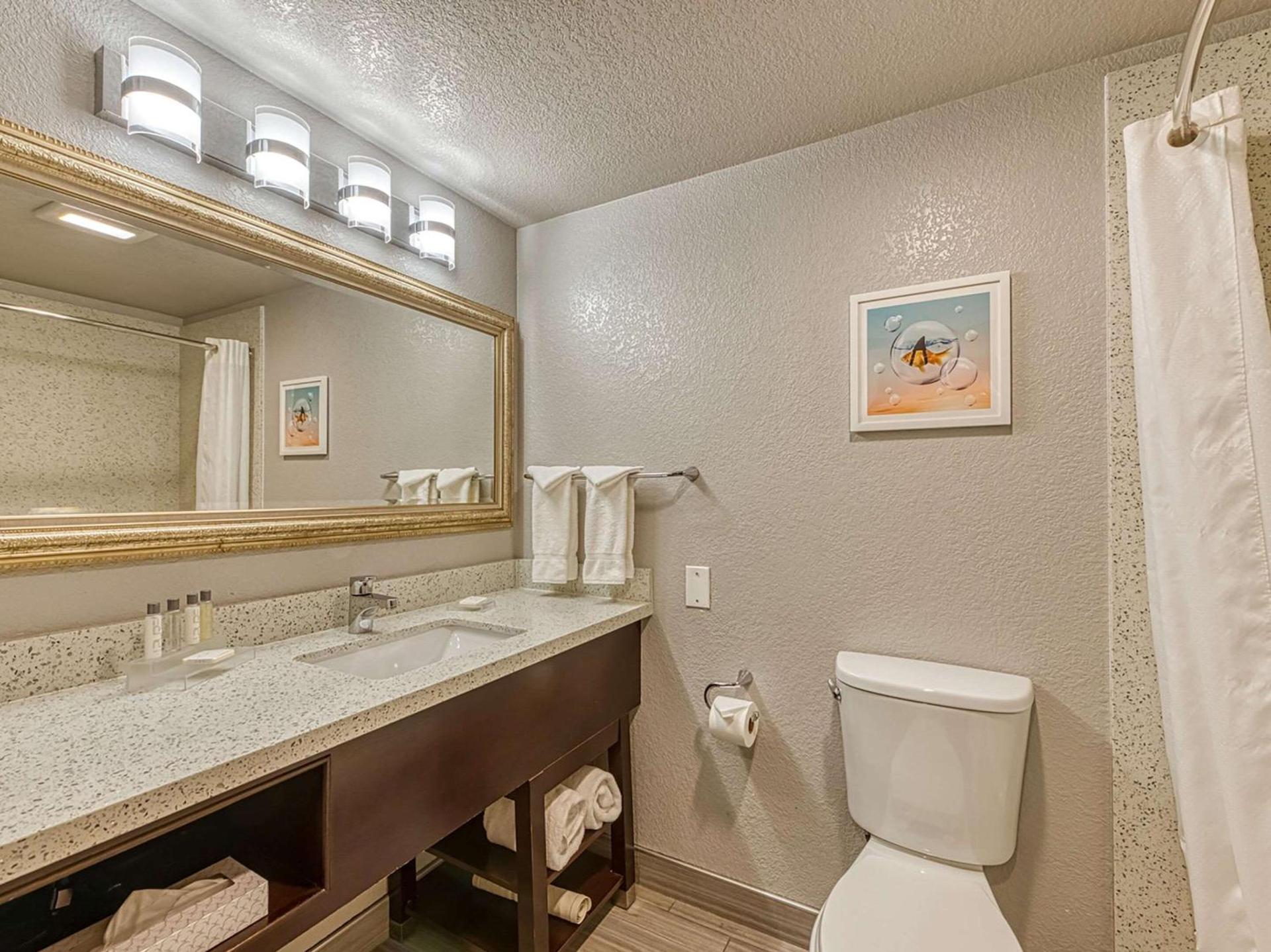 Amanzi Hotel, an Ascend Collection Hotel photo 10