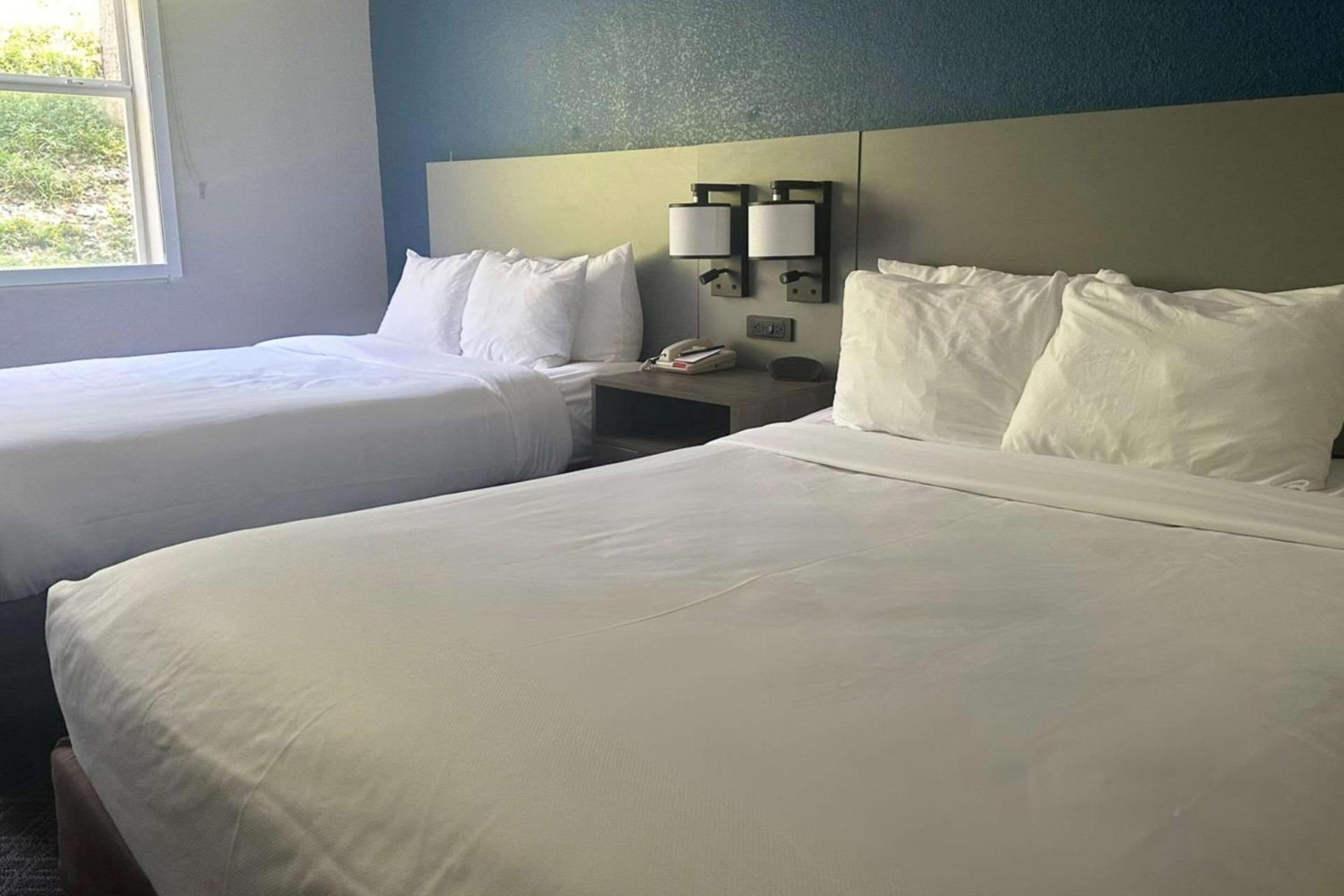 Comfort Inn & Suites Calhoun South photo 16
