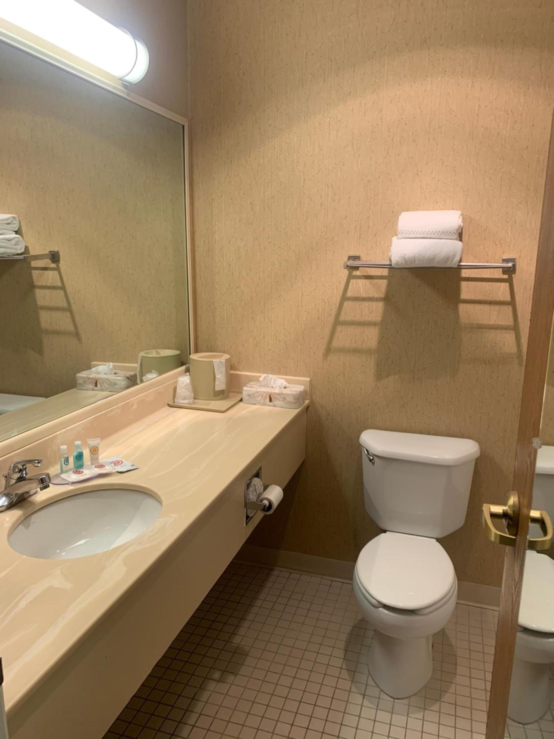 Hampton Inn Chelsea, Mi photo 61
