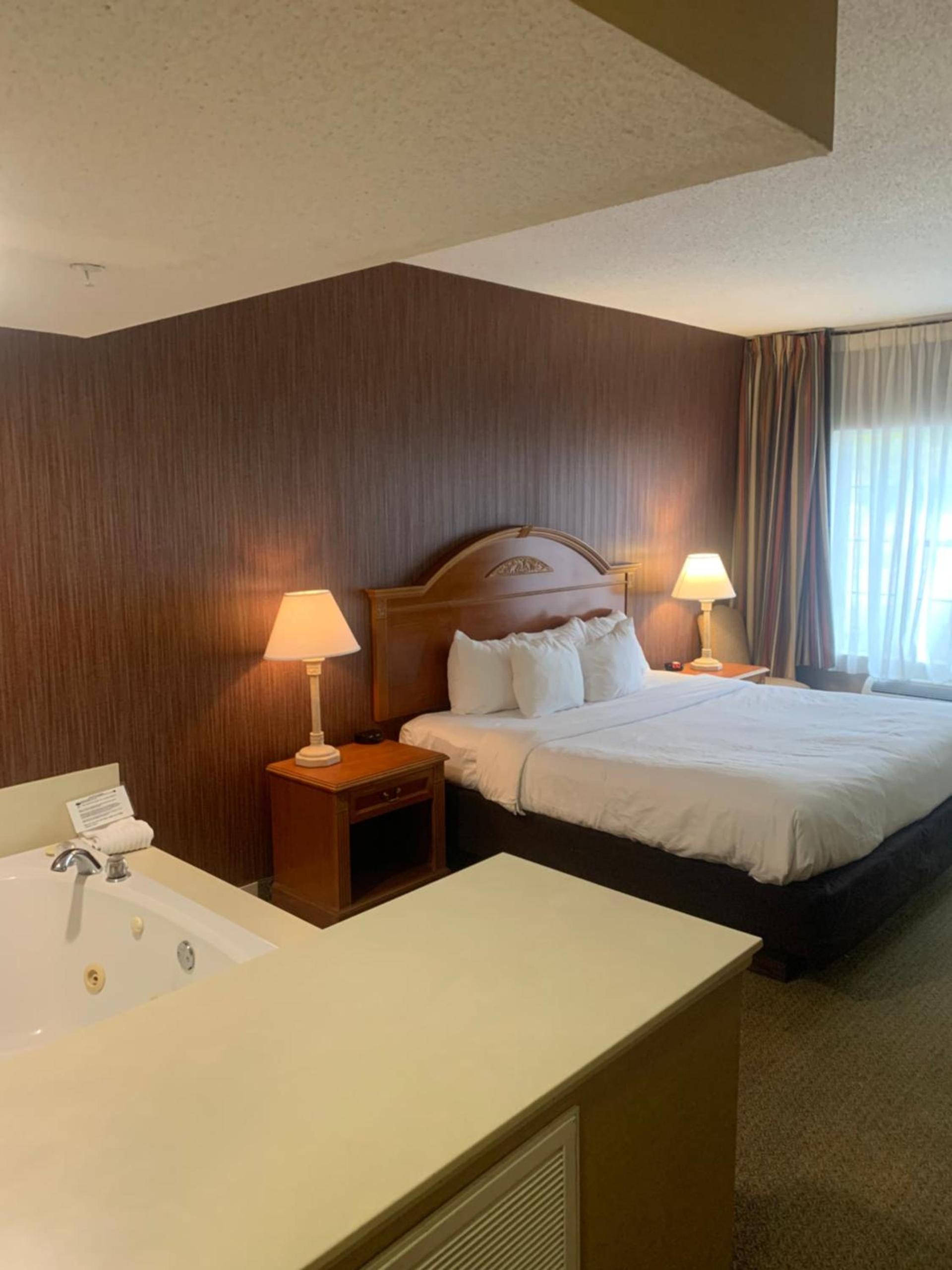 Hampton Inn Chelsea, Mi photo 65
