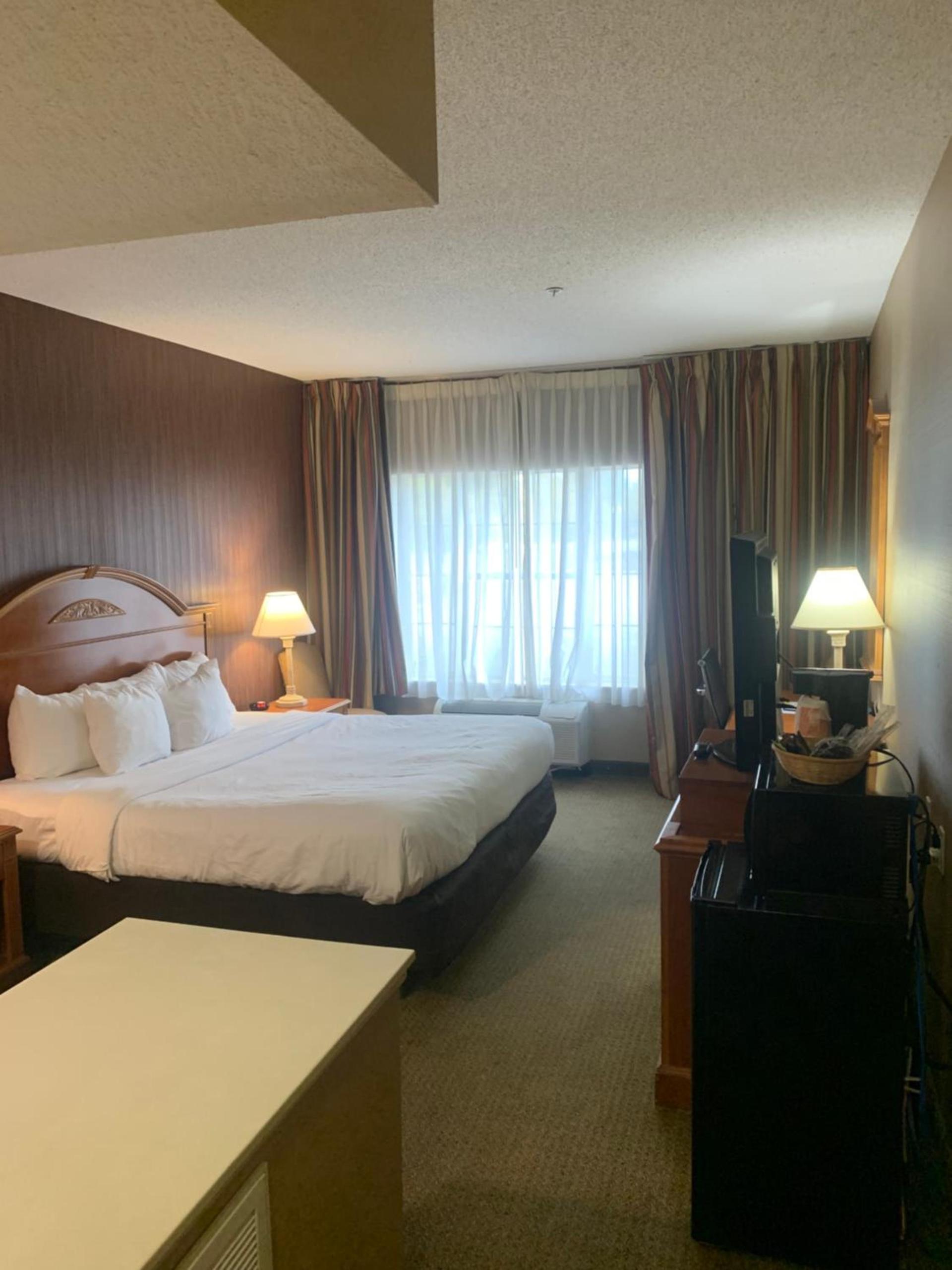 Hampton Inn Chelsea, Mi photo 69