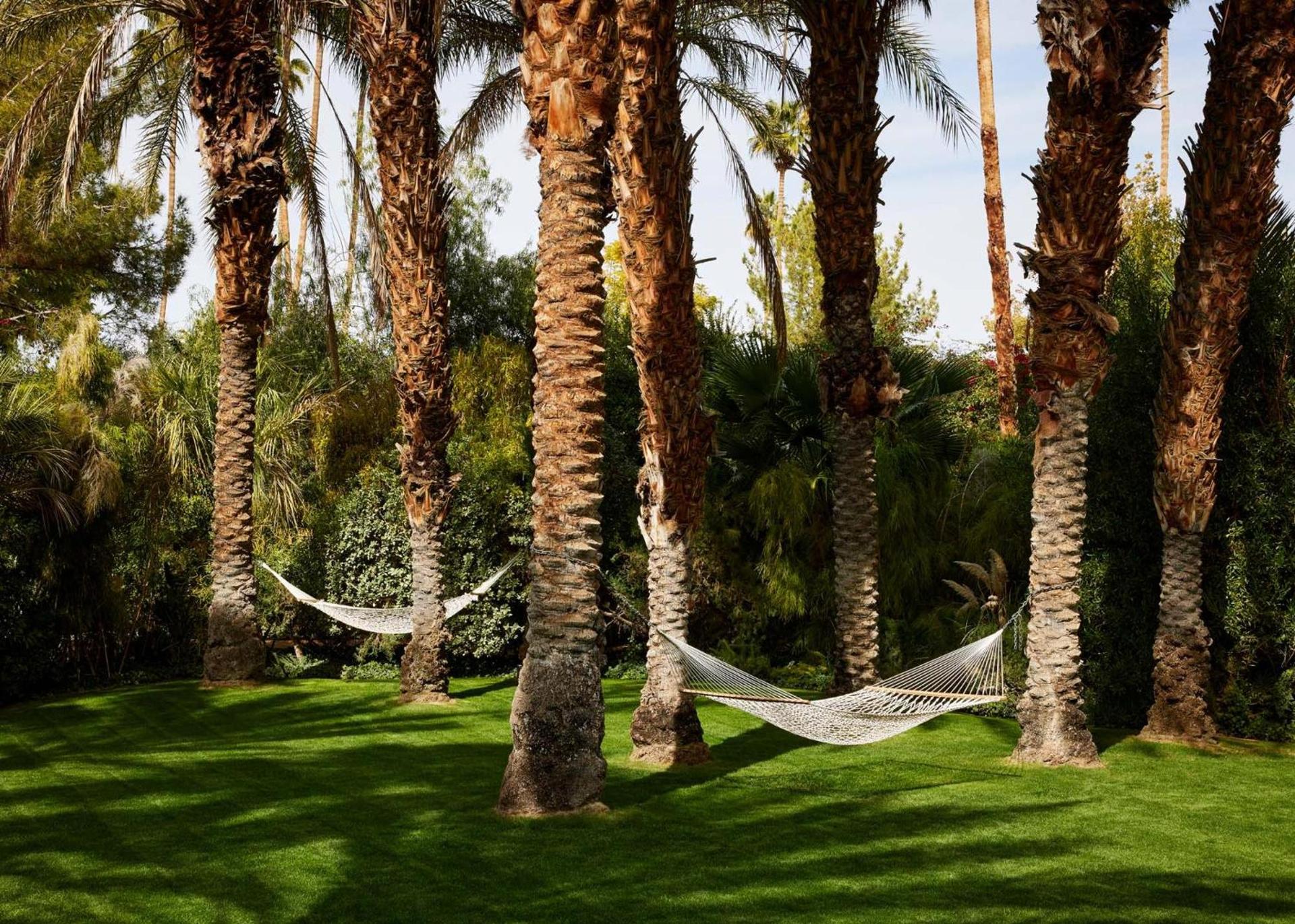 Parker Palm Springs photo 41