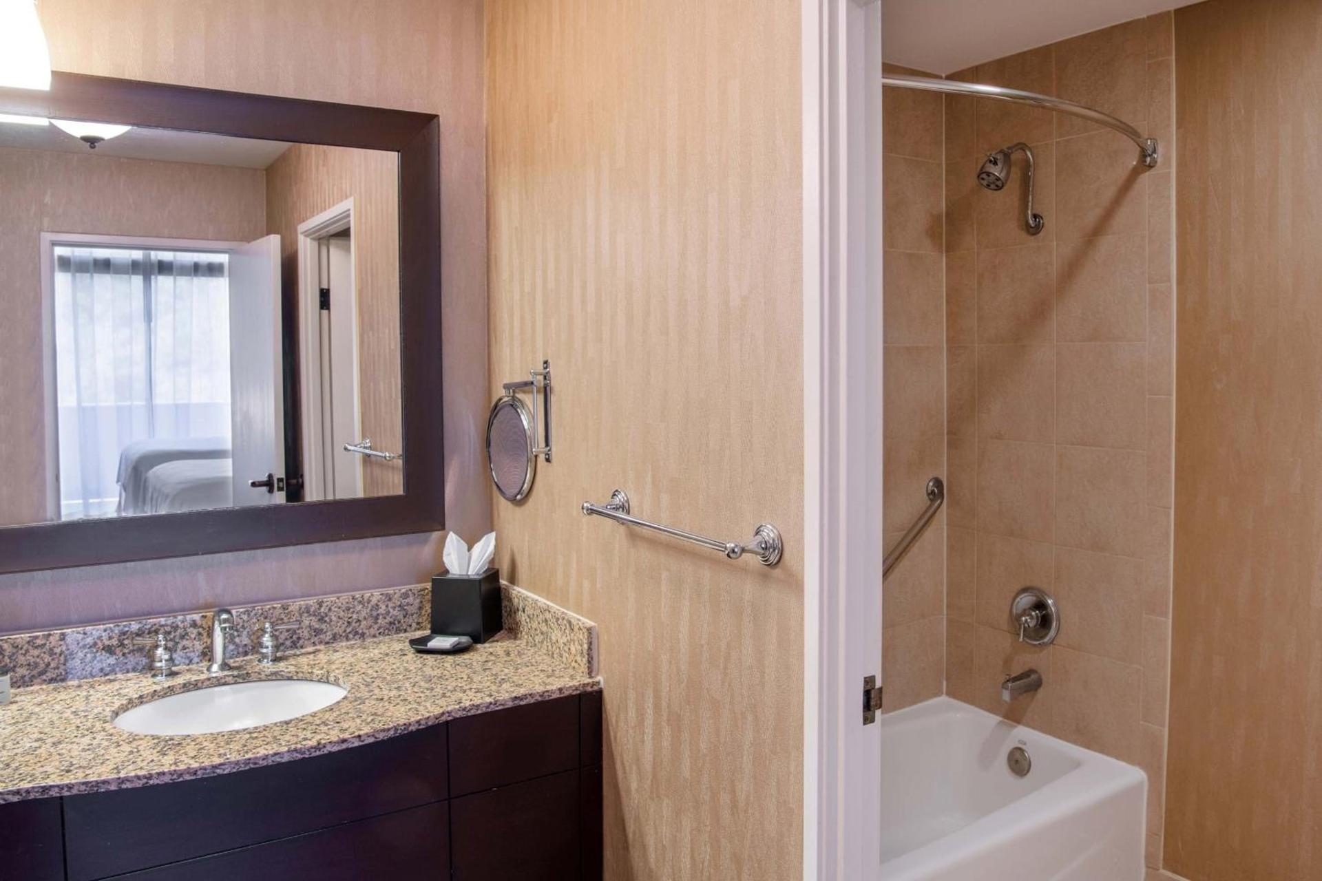 Sheraton Mission Valley San Diego Hotel photo 69
