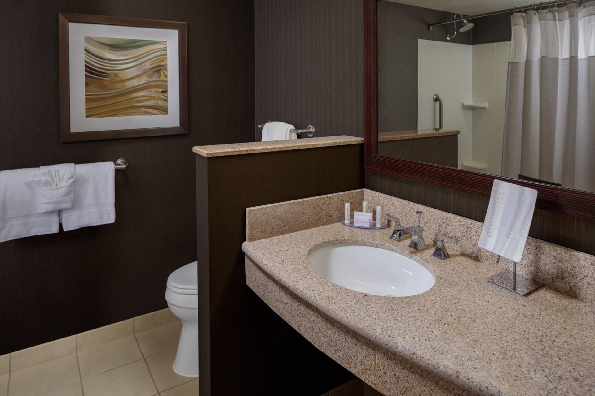 Courtyard by Marriott Houston Medical Center/NRG Park photo 11
