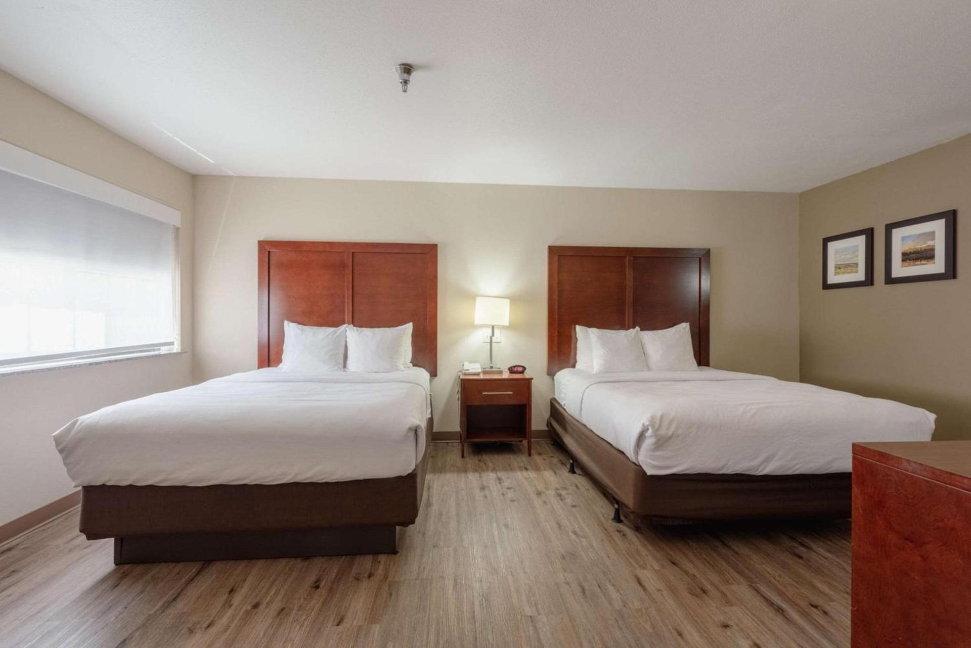 Comfort Inn & Suites Alamosa photo 60