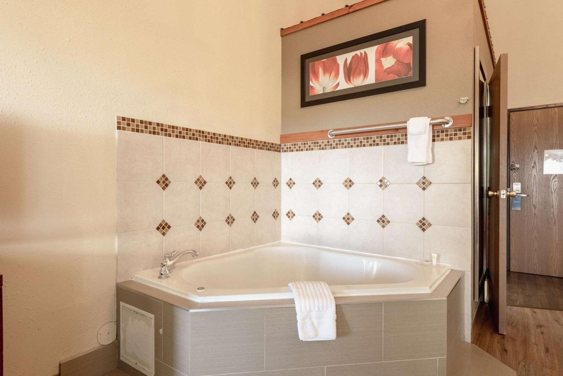 Comfort Inn & Suites Alamosa photo 84
