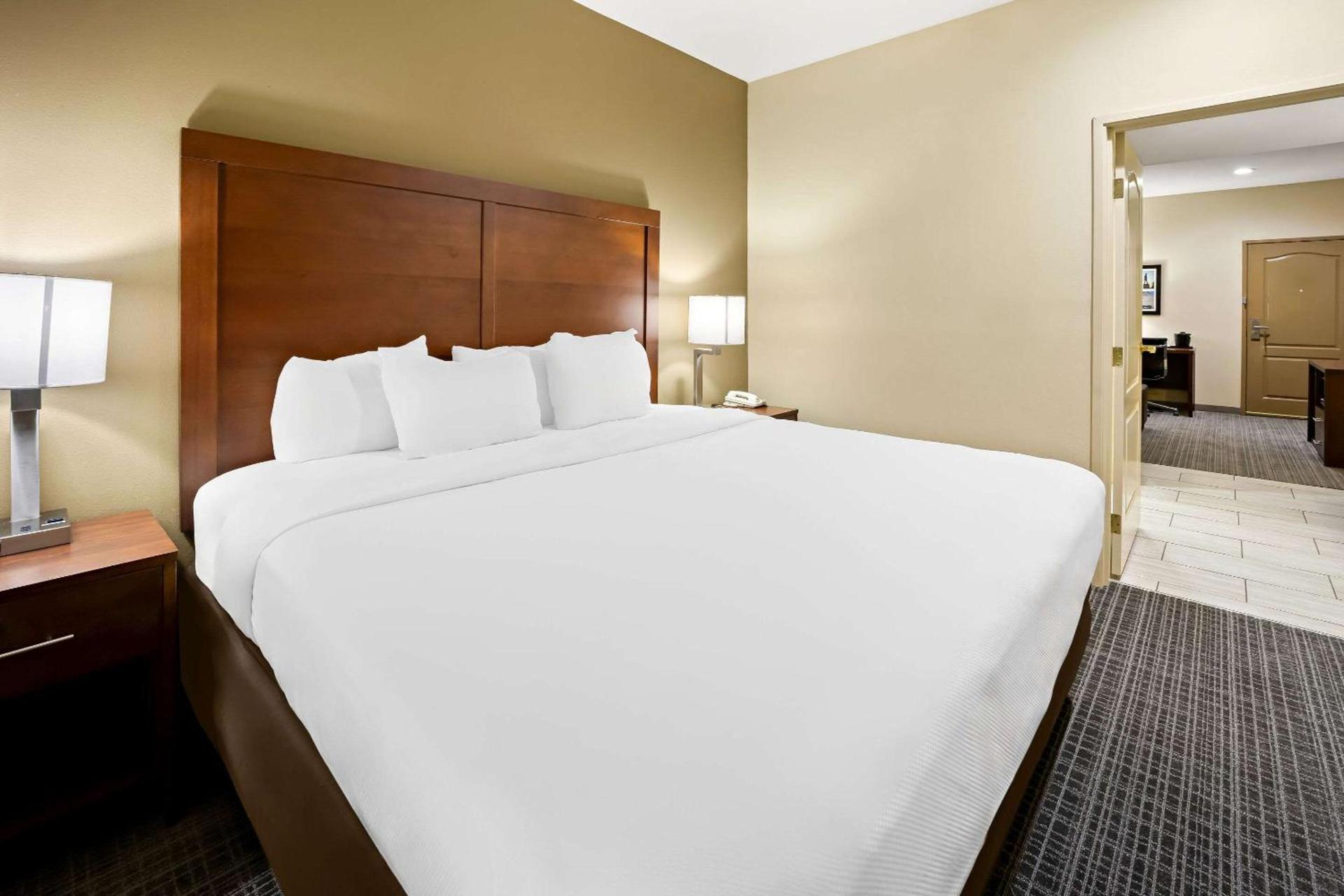 Comfort Inn & Suites High Point - Archdale photo 20