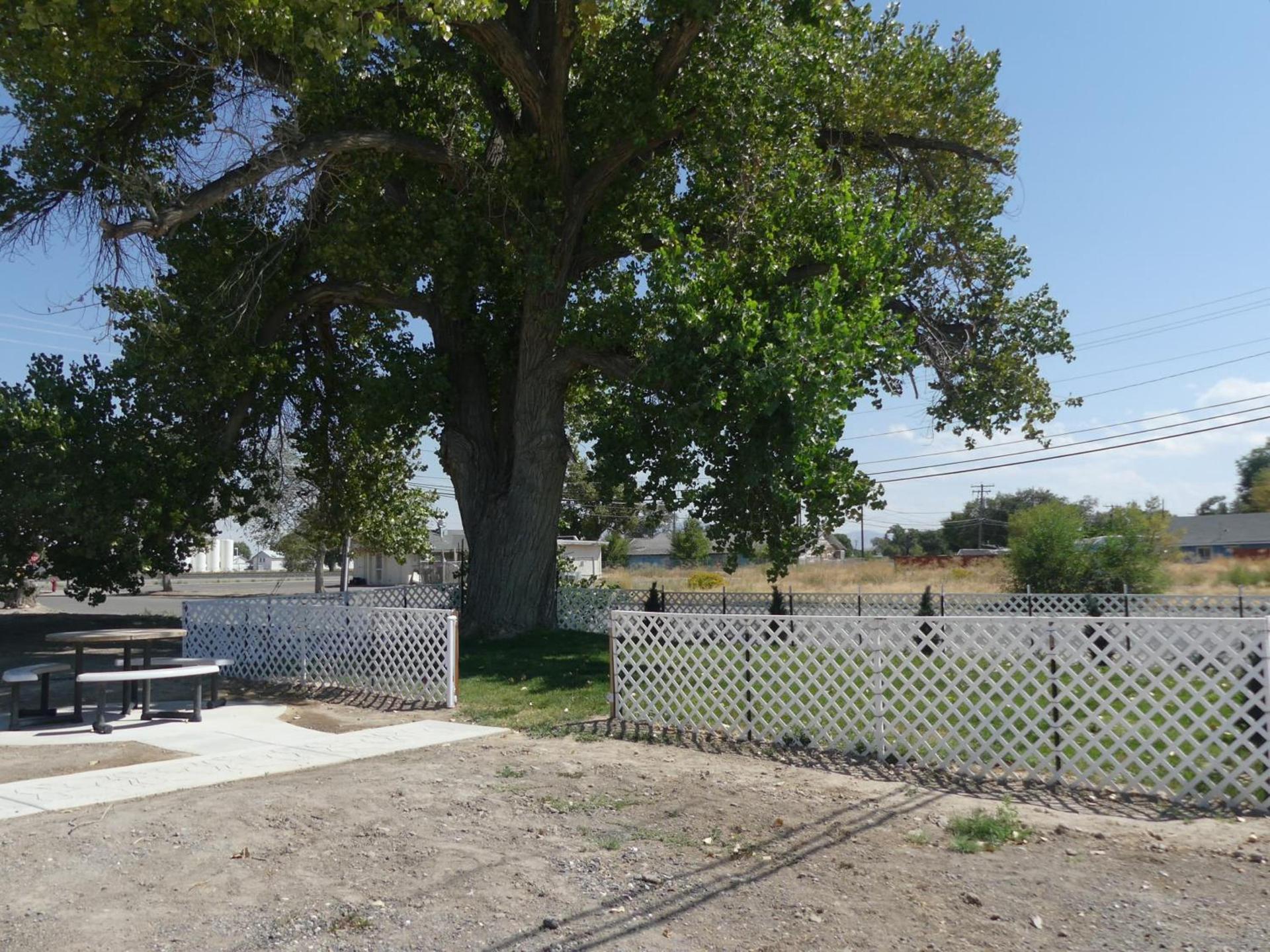 Big Chief Motel photo 33