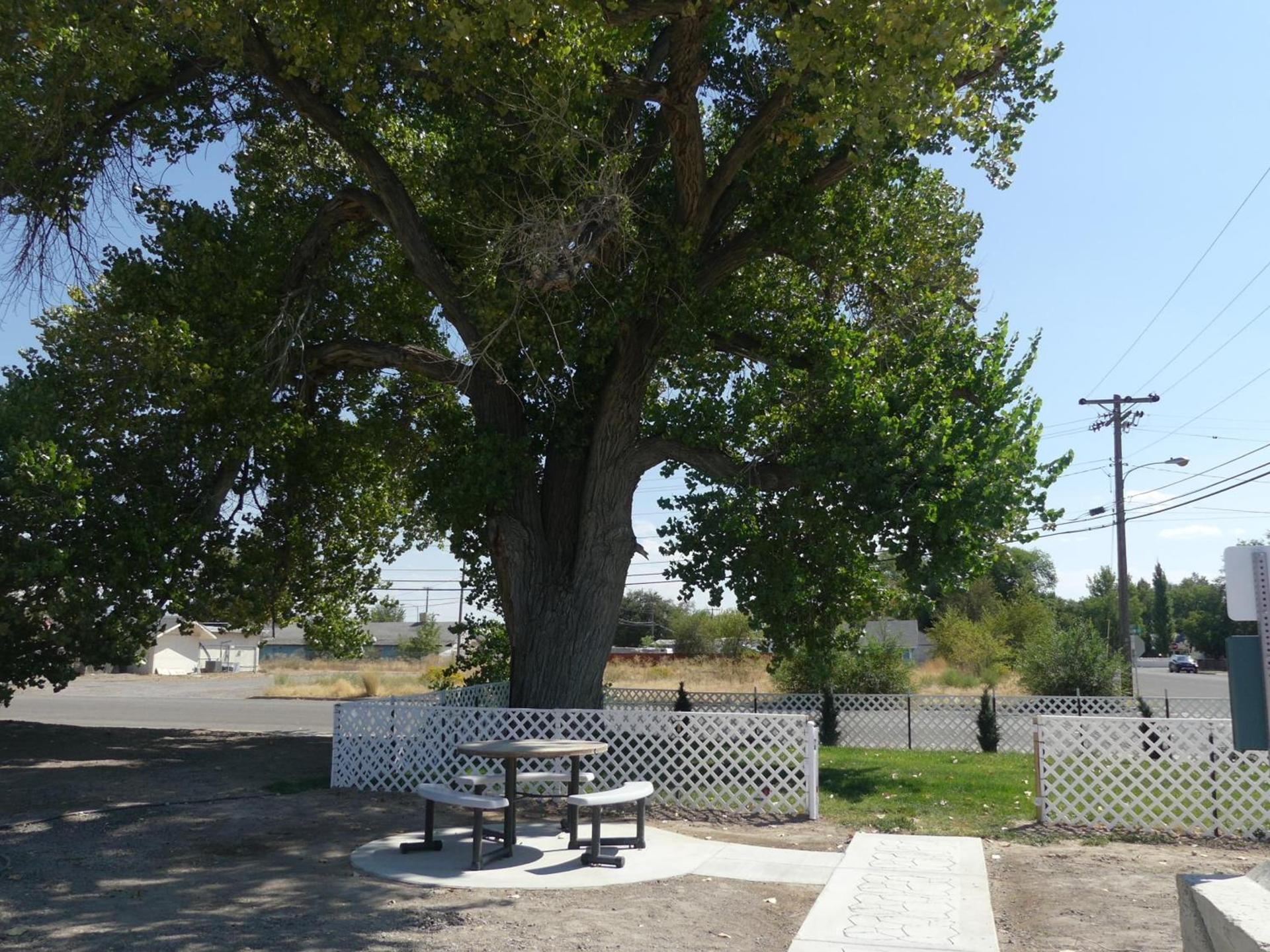 Big Chief Motel photo 14