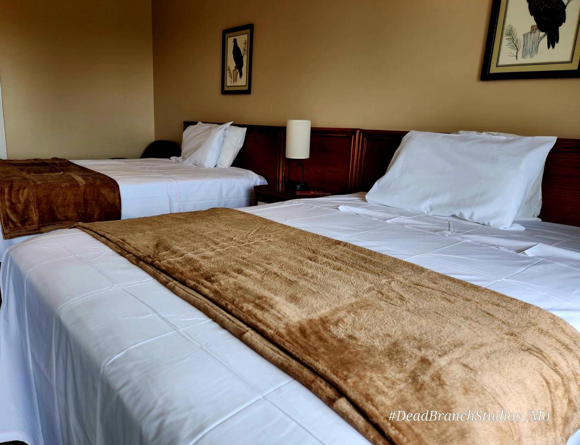 Fox Mountain Inn photo 4