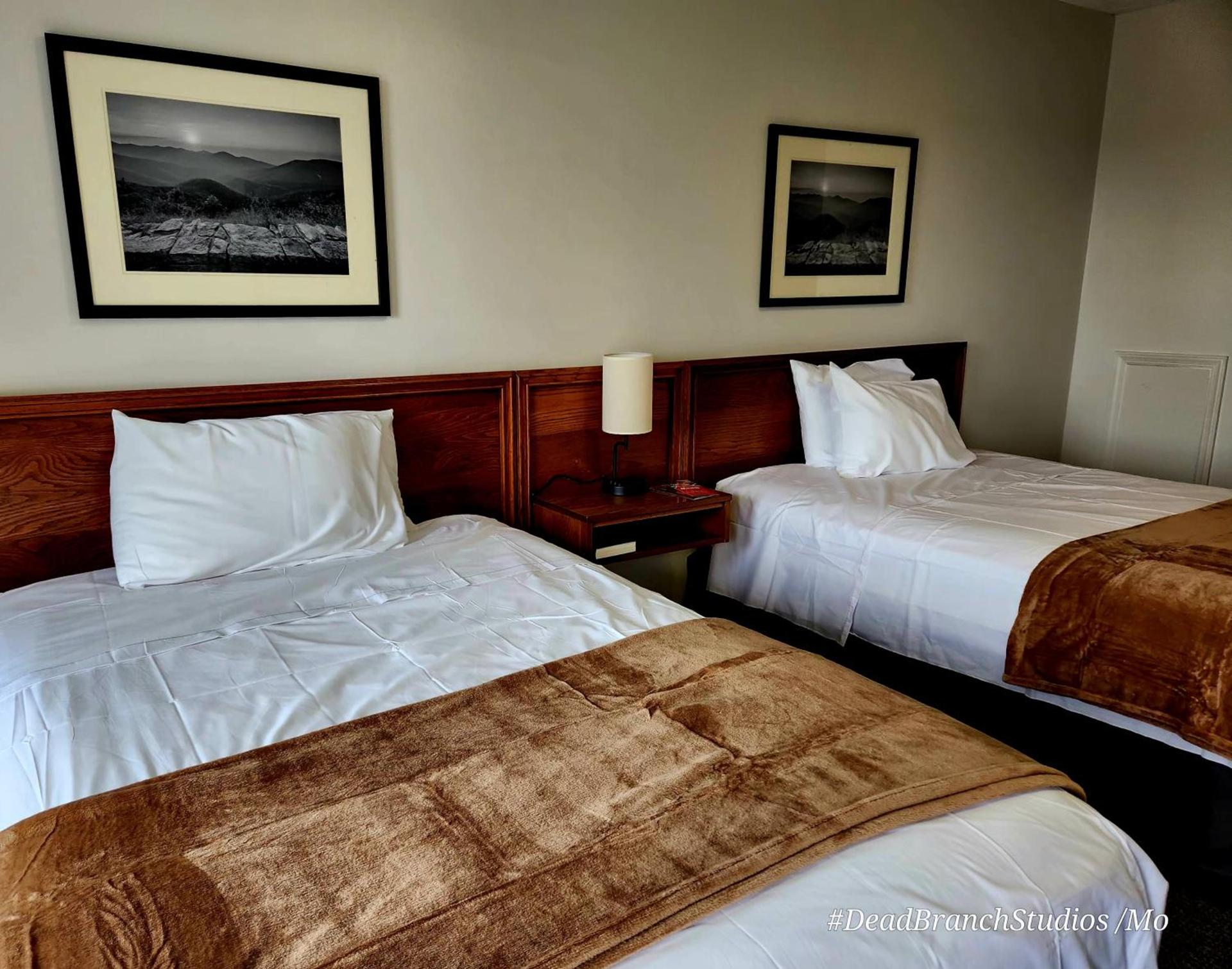 Fox Mountain Inn photo 5