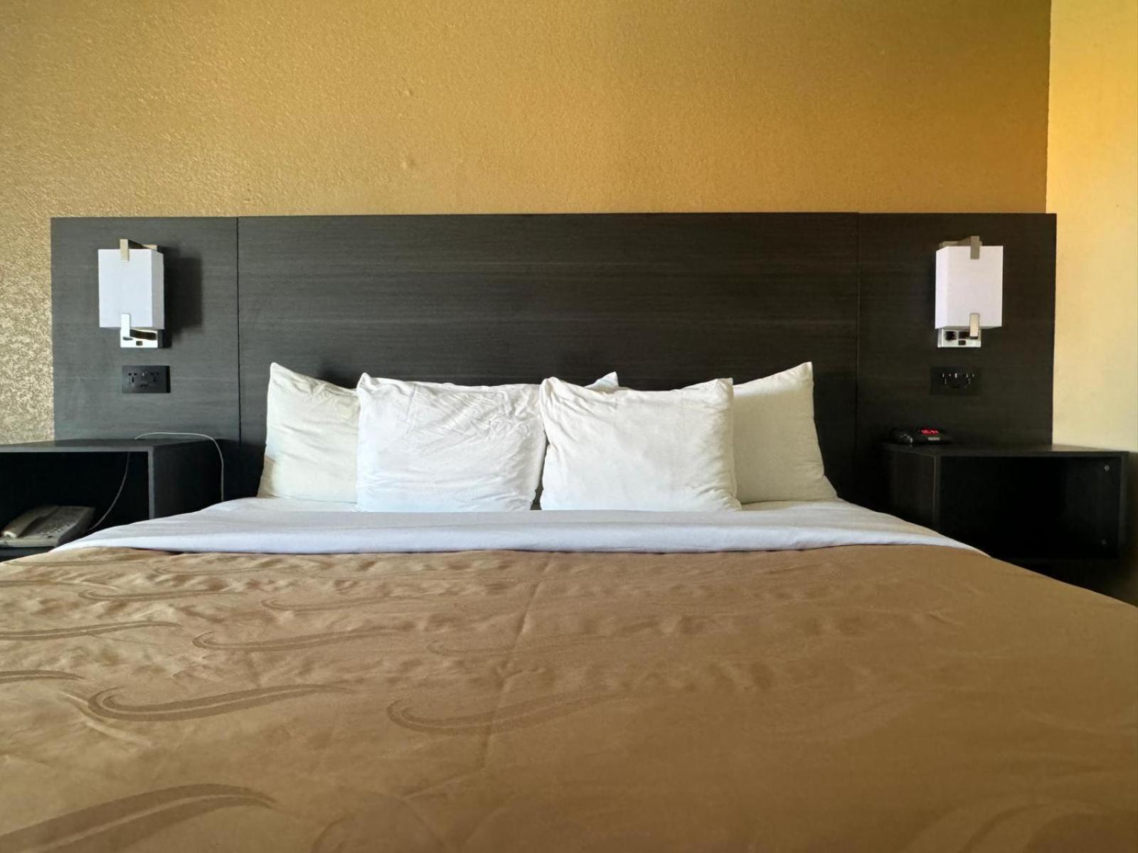 Quality Inn Kennedy Space Center photo 38