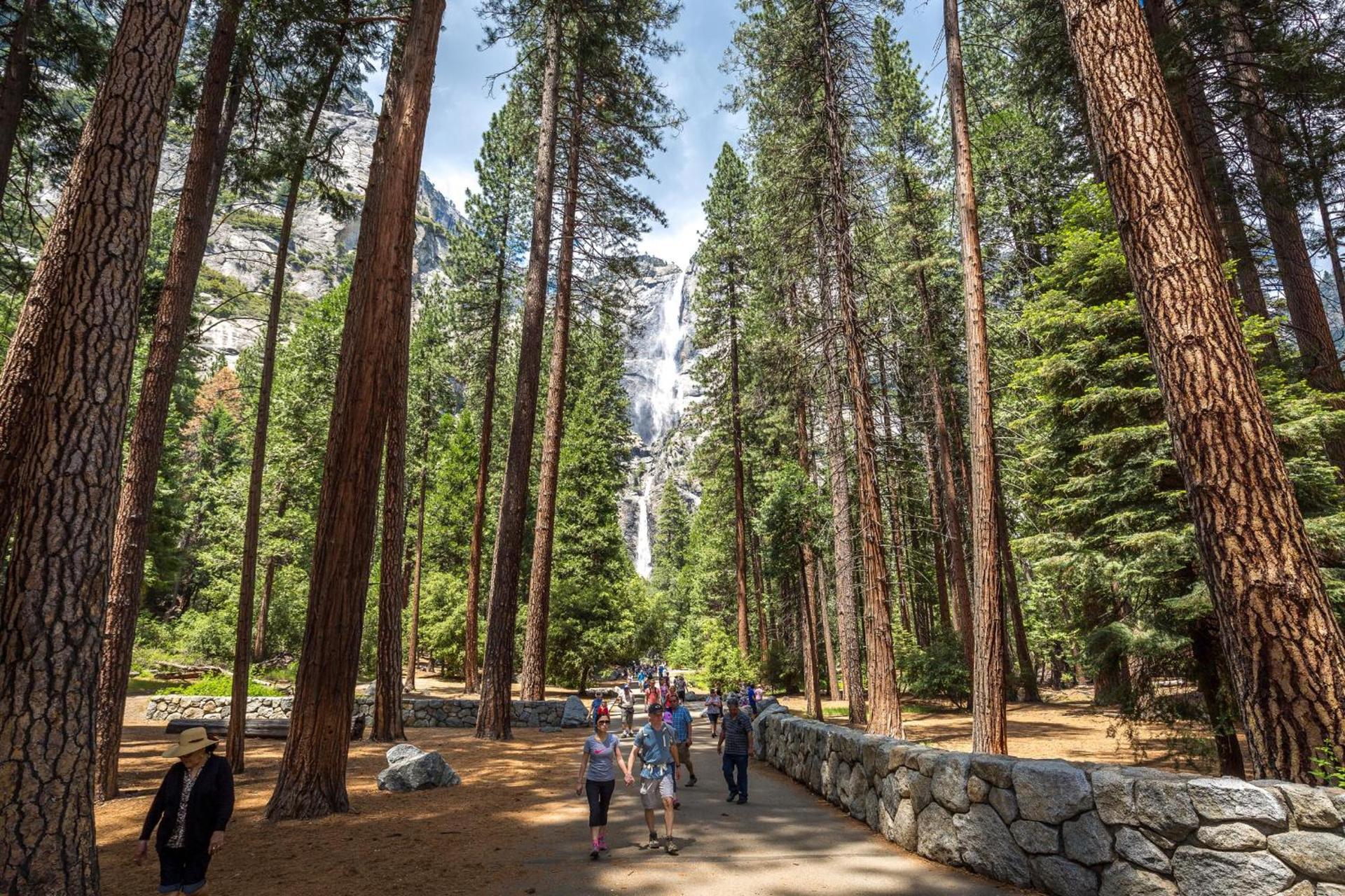 Rush Creek Lodge at Yosemite photo 14