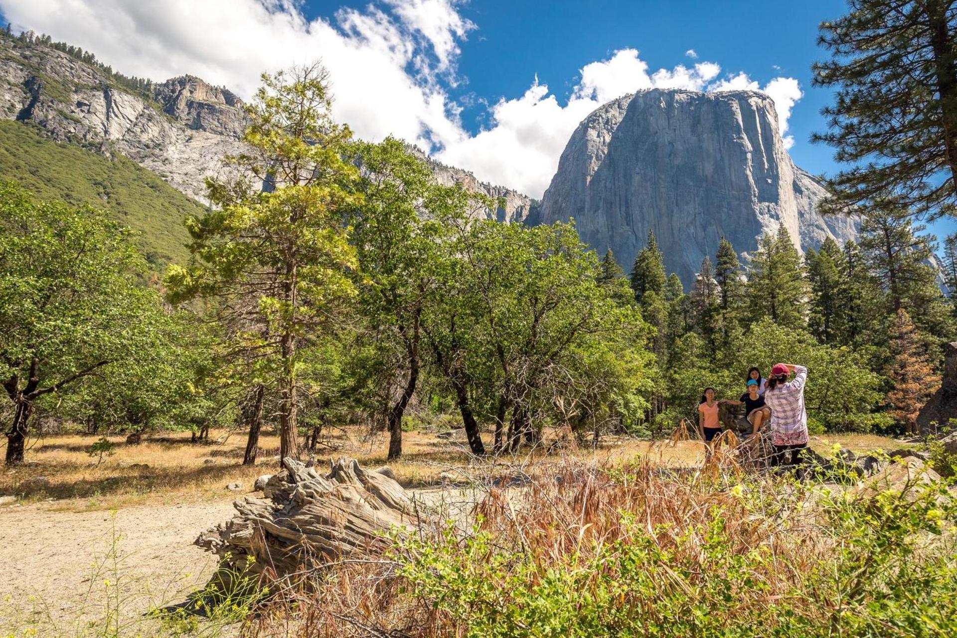 Rush Creek Lodge at Yosemite photo 15