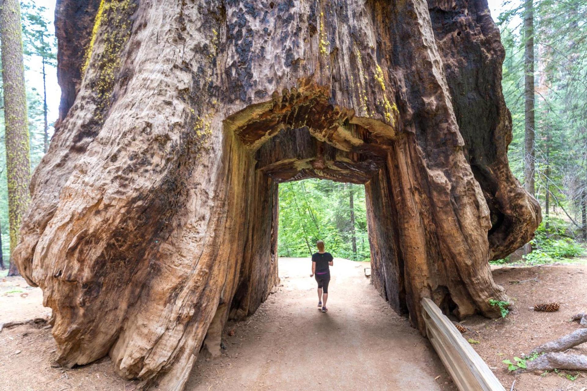 Rush Creek Lodge at Yosemite photo 16