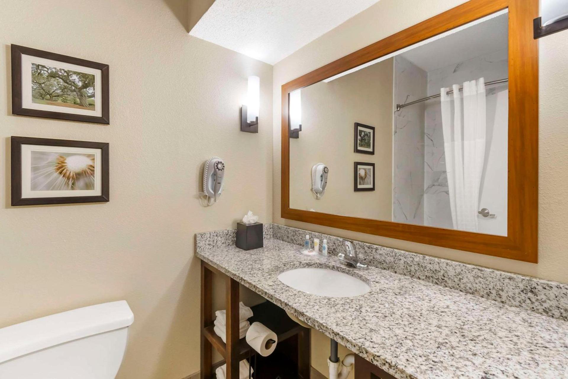 Comfort Suites At the University photo 7
