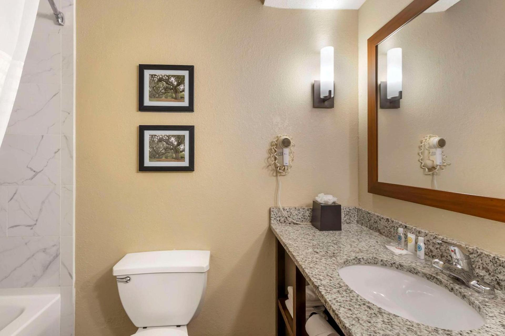 Comfort Suites At the University photo 9