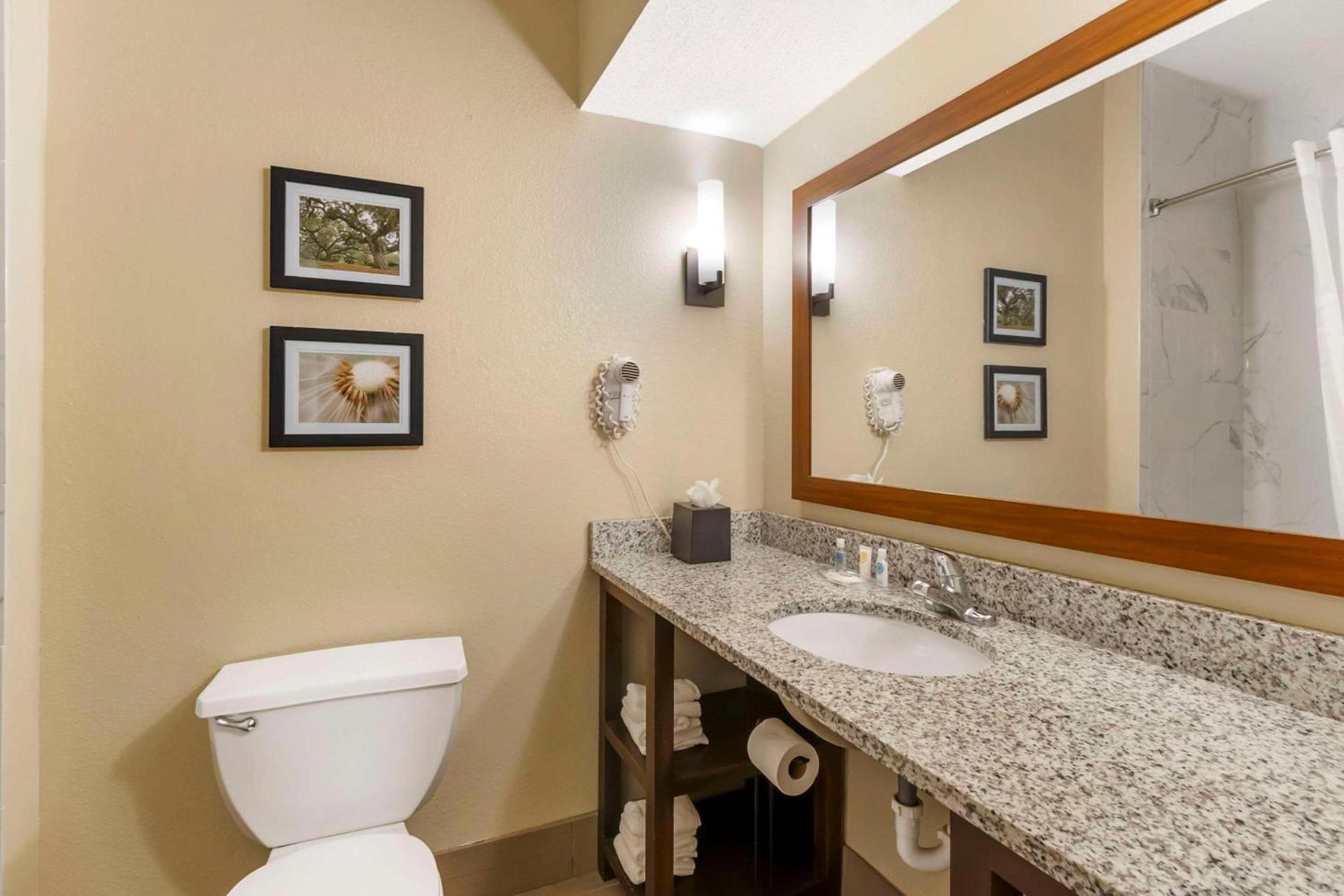 Comfort Suites At the University photo 8