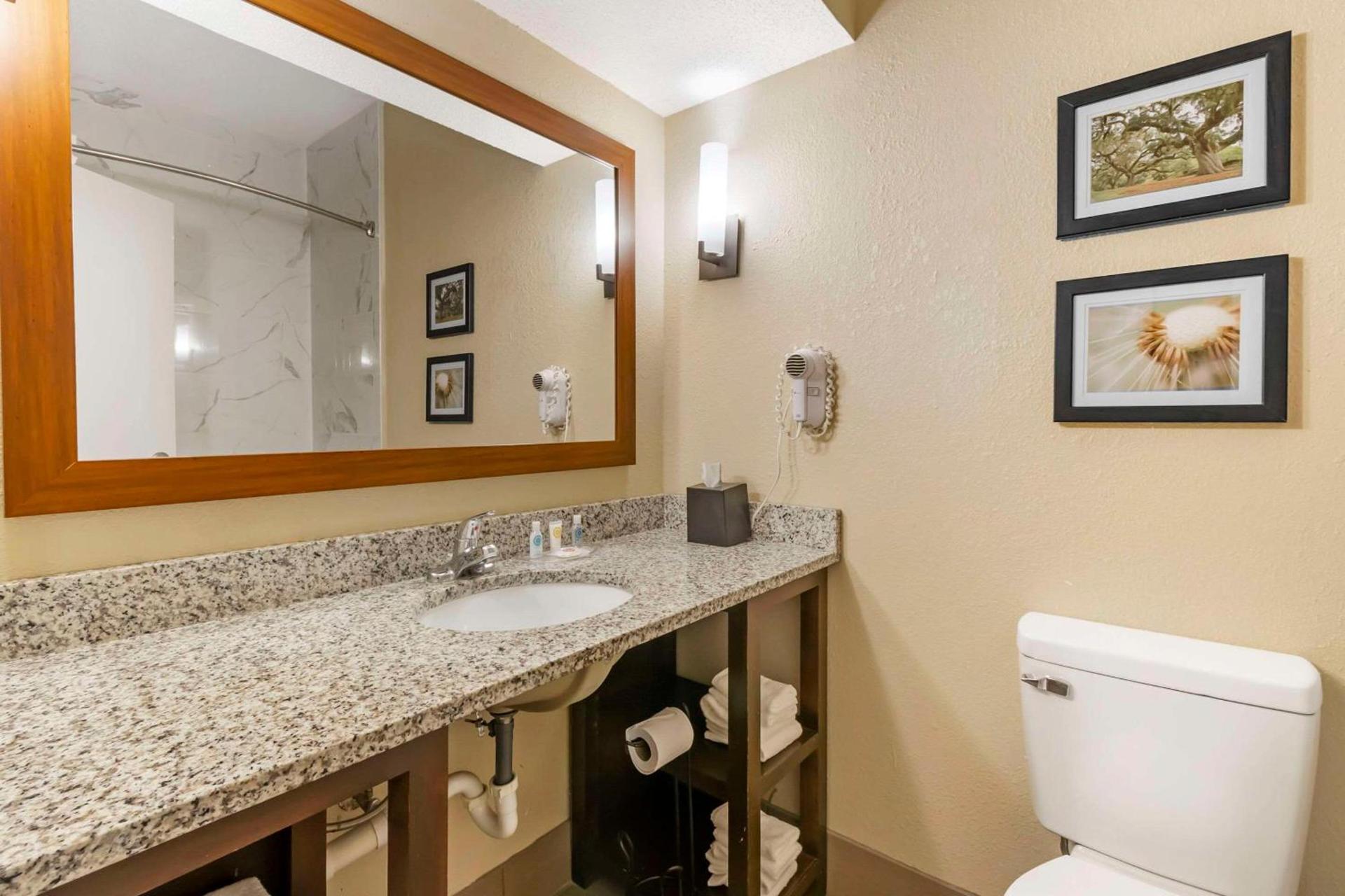 Comfort Suites At the University photo 10