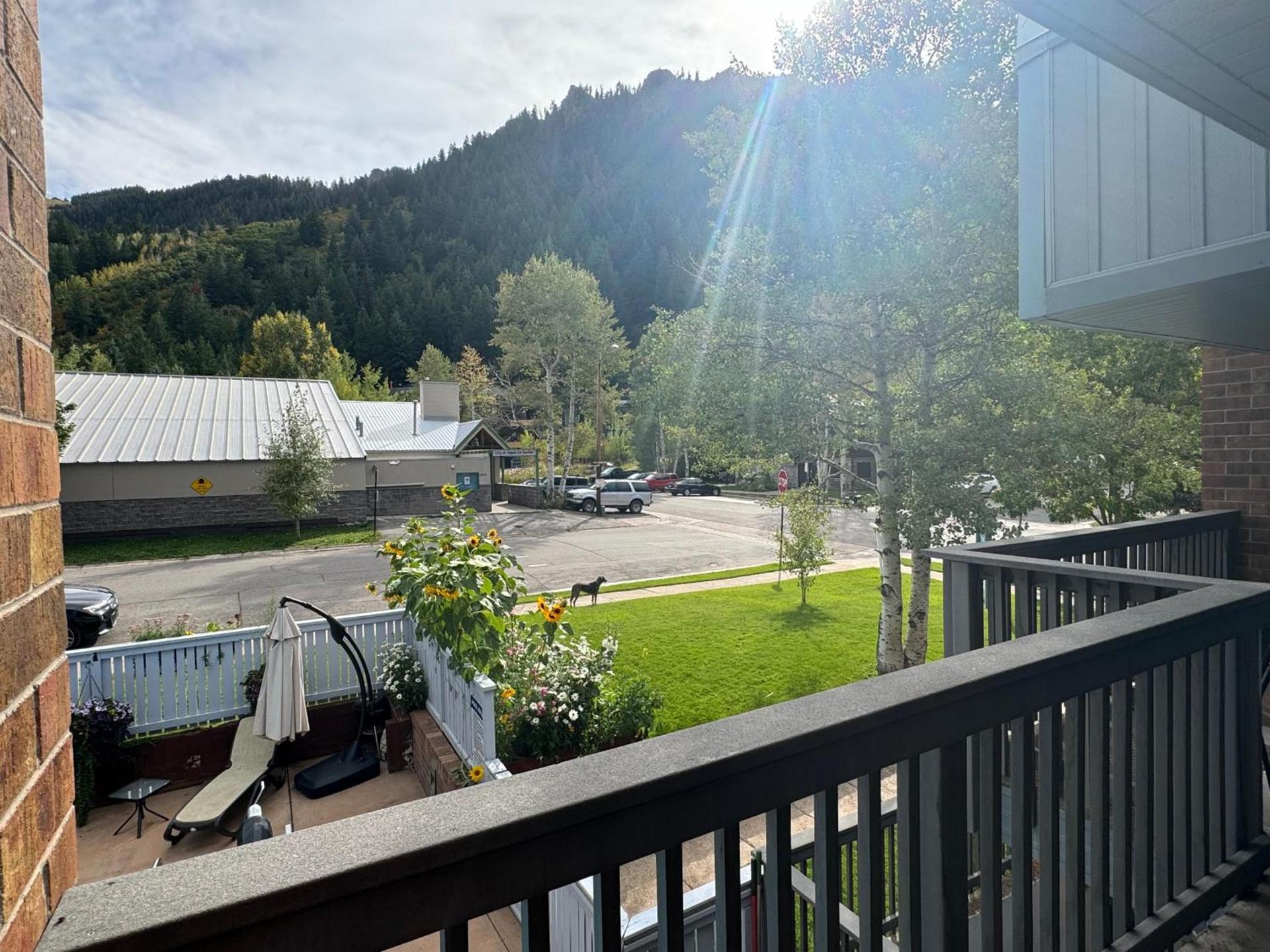 Shadow Mountain Lodge photo 77