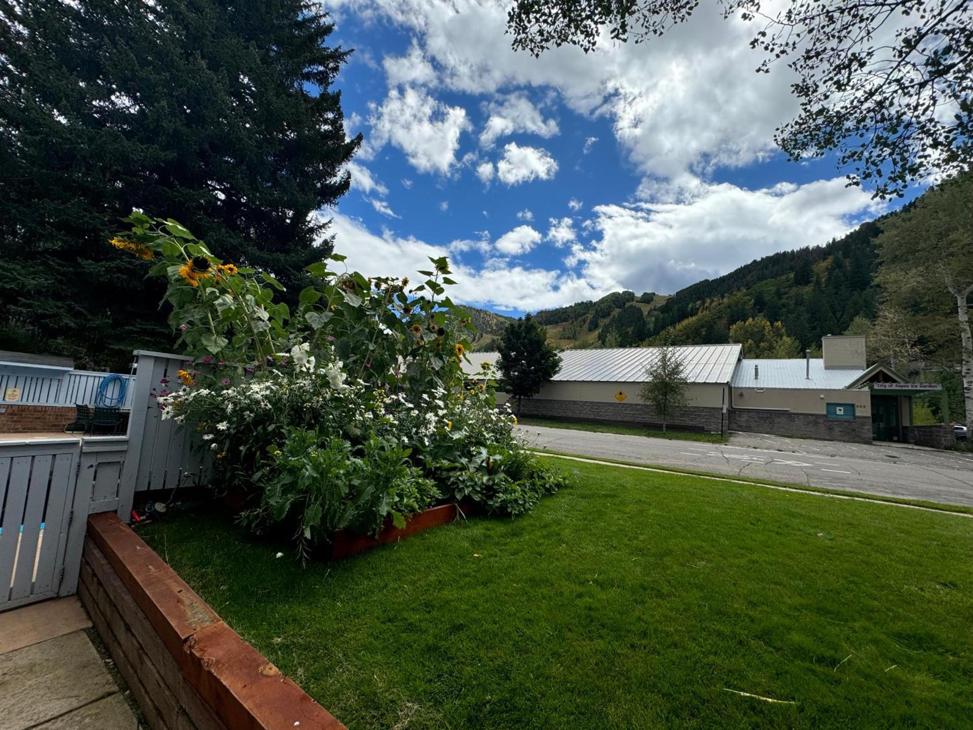 Shadow Mountain Lodge photo 98