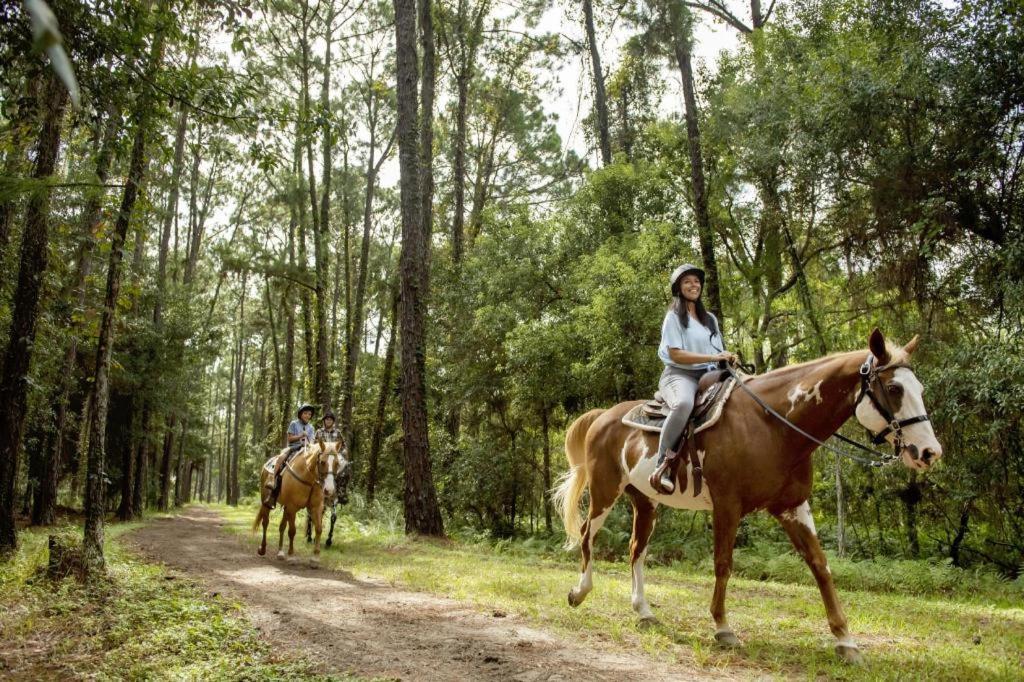 The Cabins at Disney's Fort Wilderness Resort photo 18