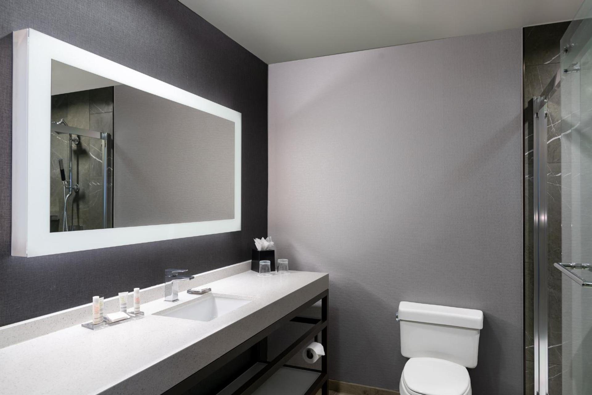 Courtyard by Marriott Chicago at Medical District-UIC photo 35
