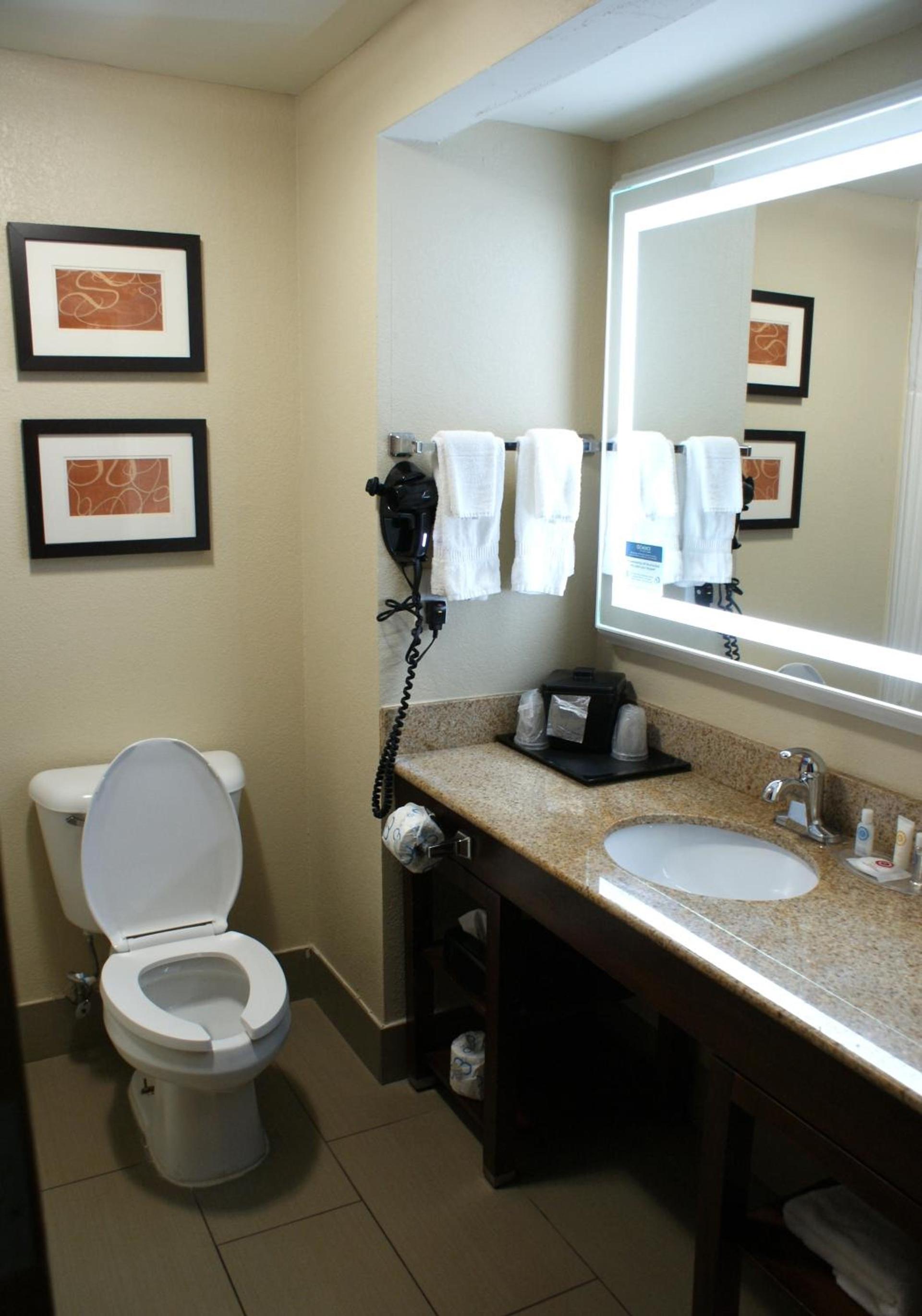 Comfort Suites Cookeville photo 42
