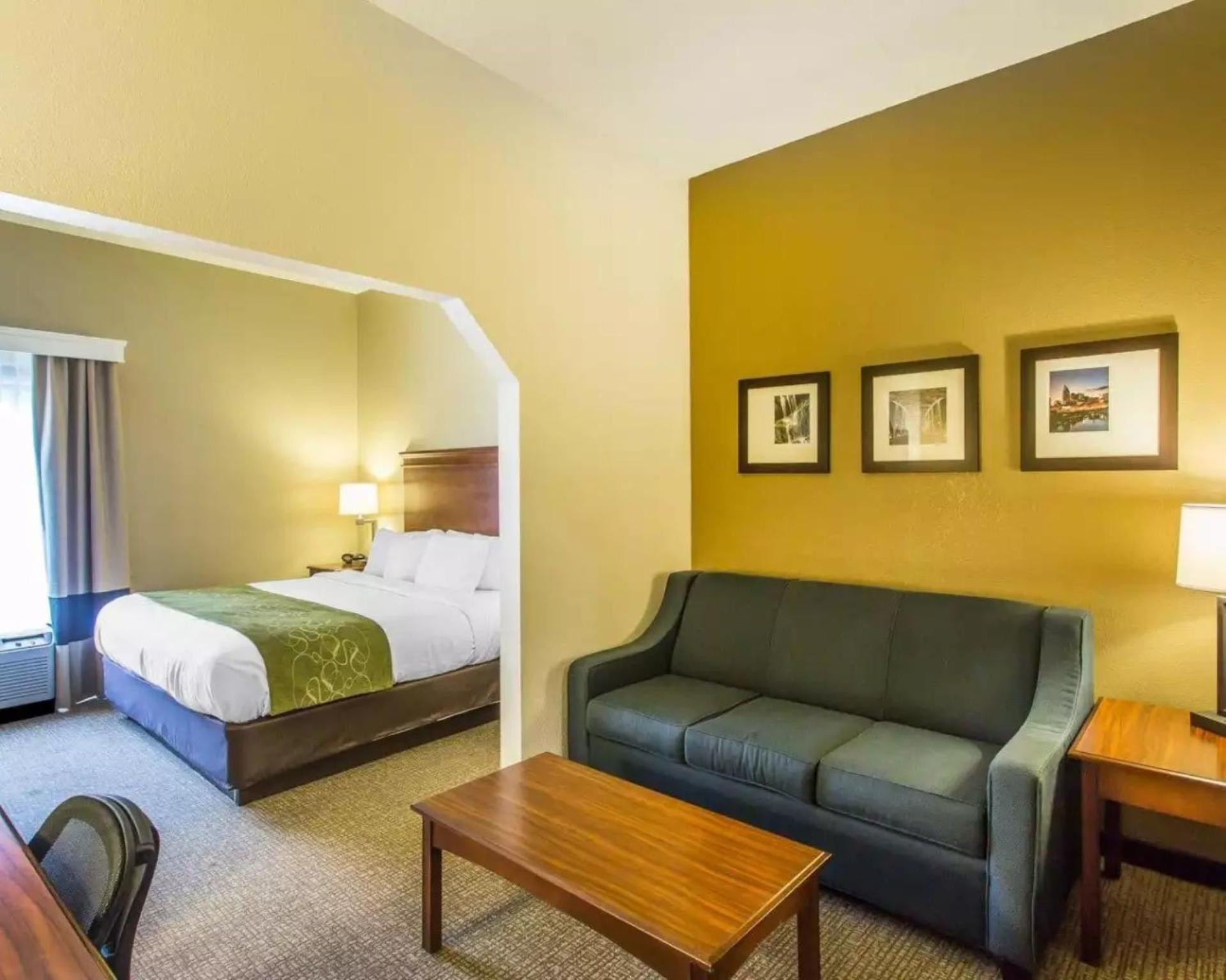Comfort Suites Cookeville photo 46
