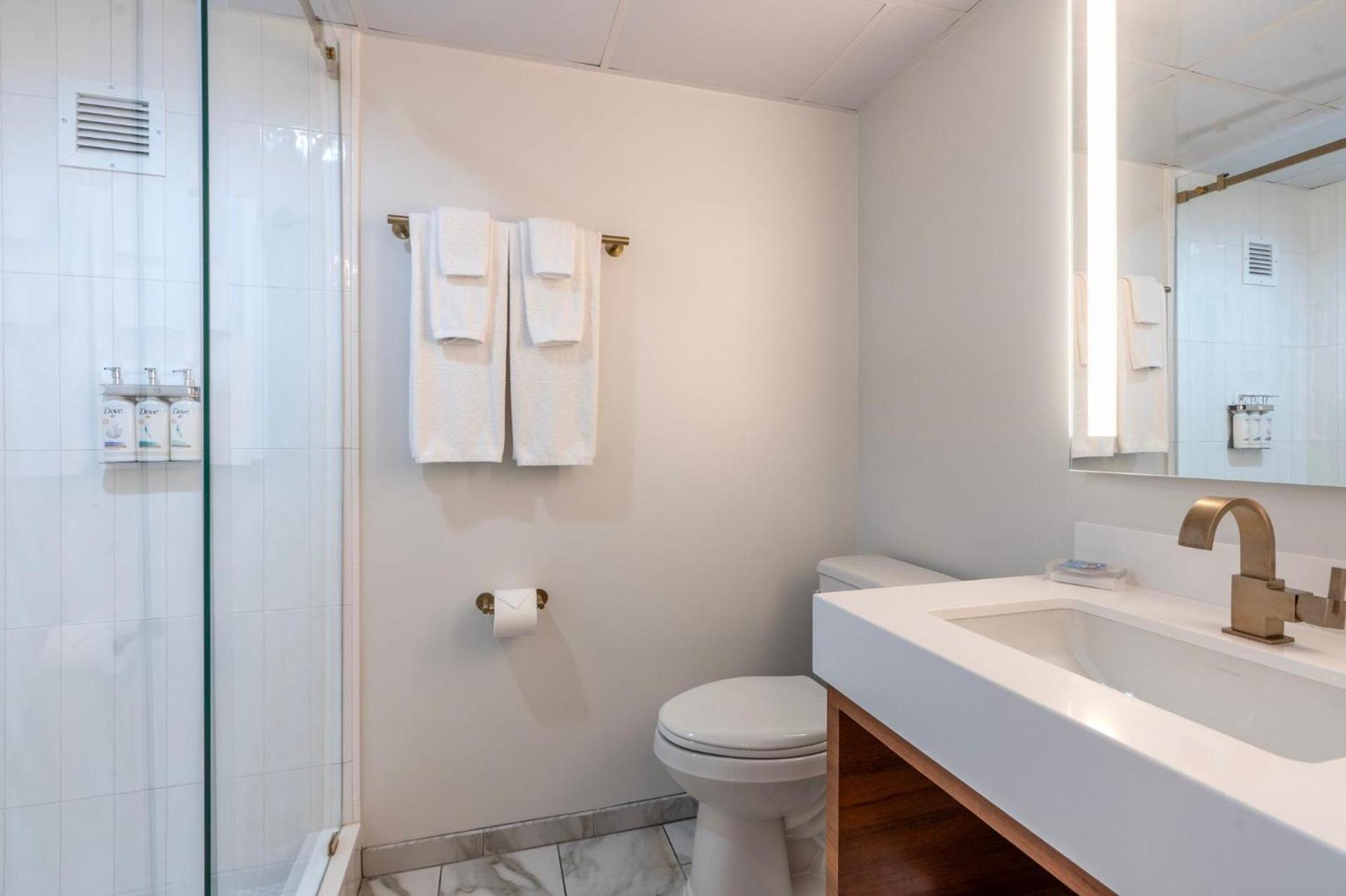 Holiday Inn New Orleans-Downtown Superdome by IHG photo 62
