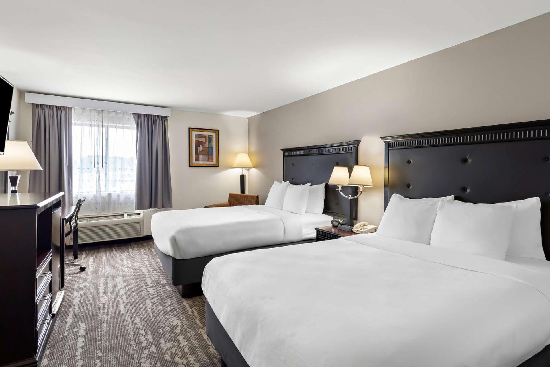 Best Western Saluki Inn photo 38