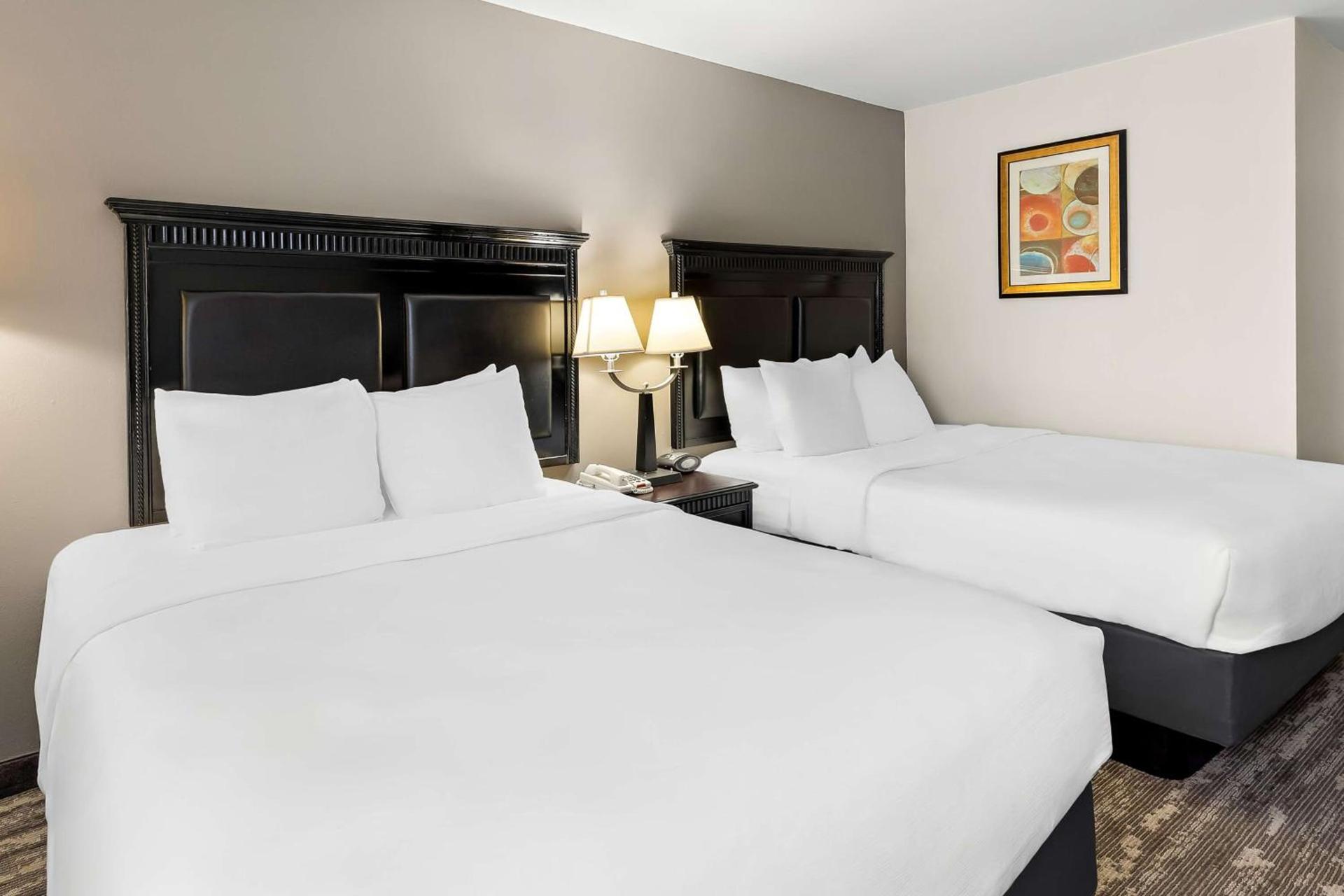 Best Western Saluki Inn photo 13