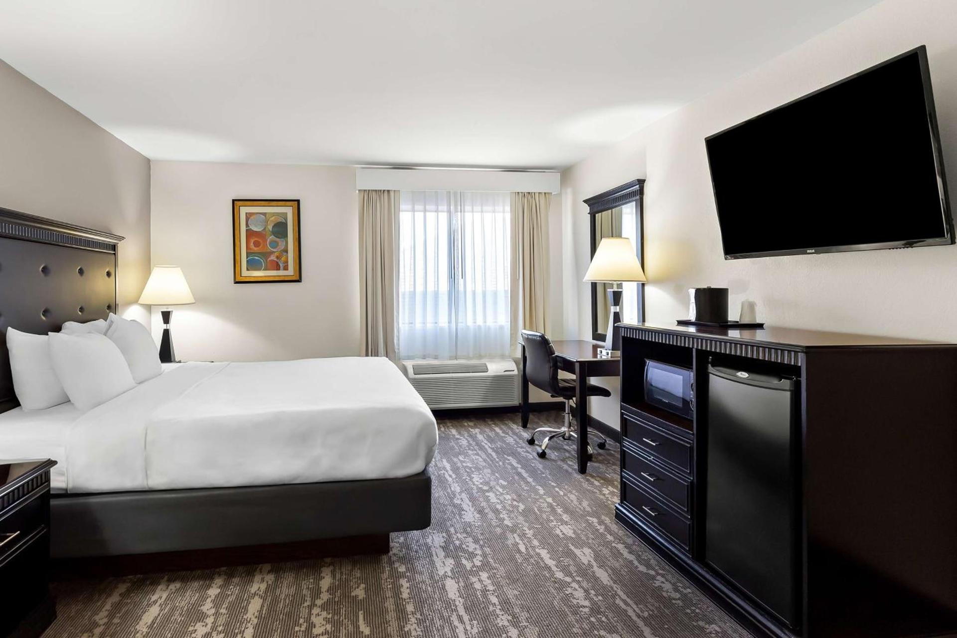 Best Western Saluki Inn photo 20