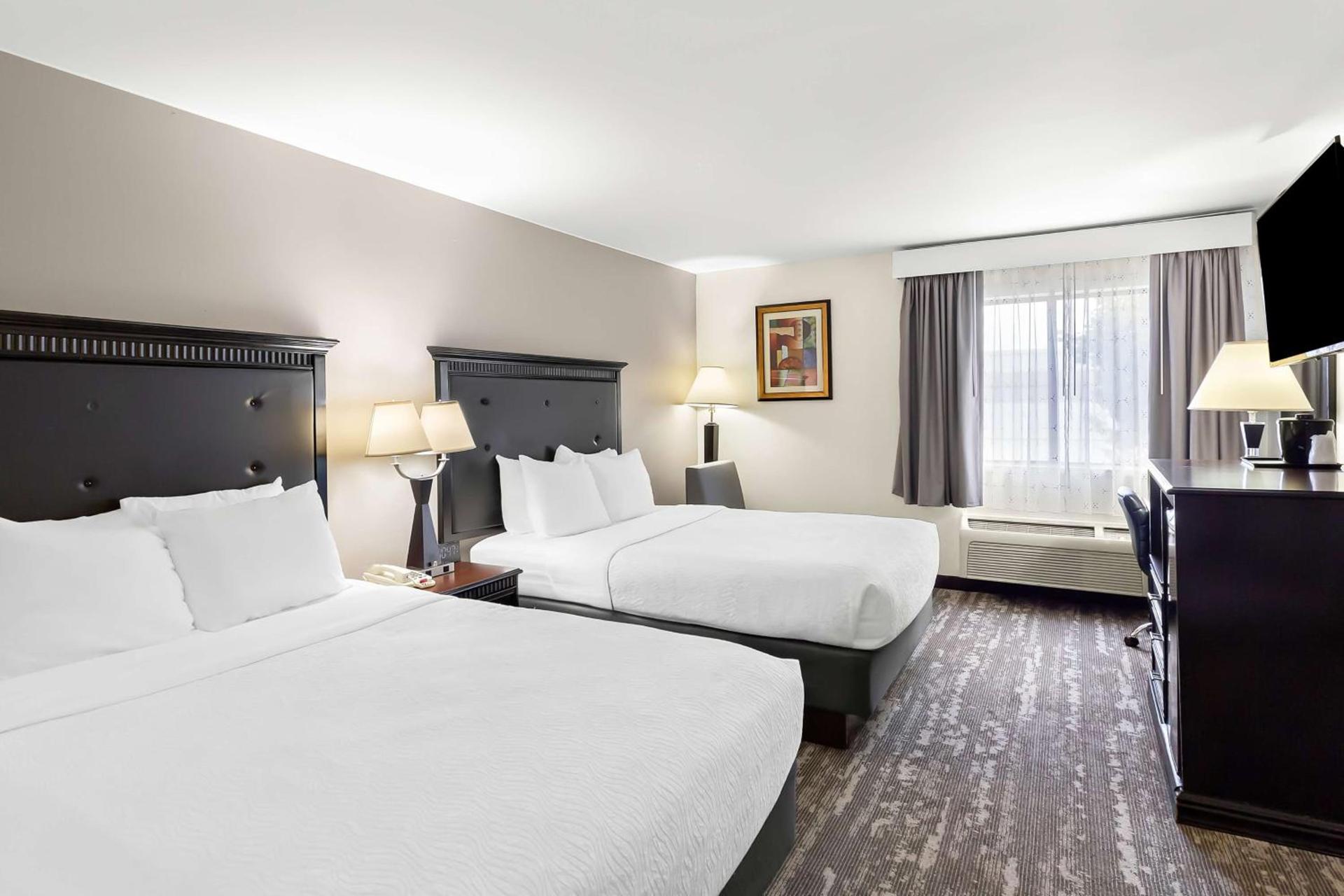 Best Western Saluki Inn photo 23